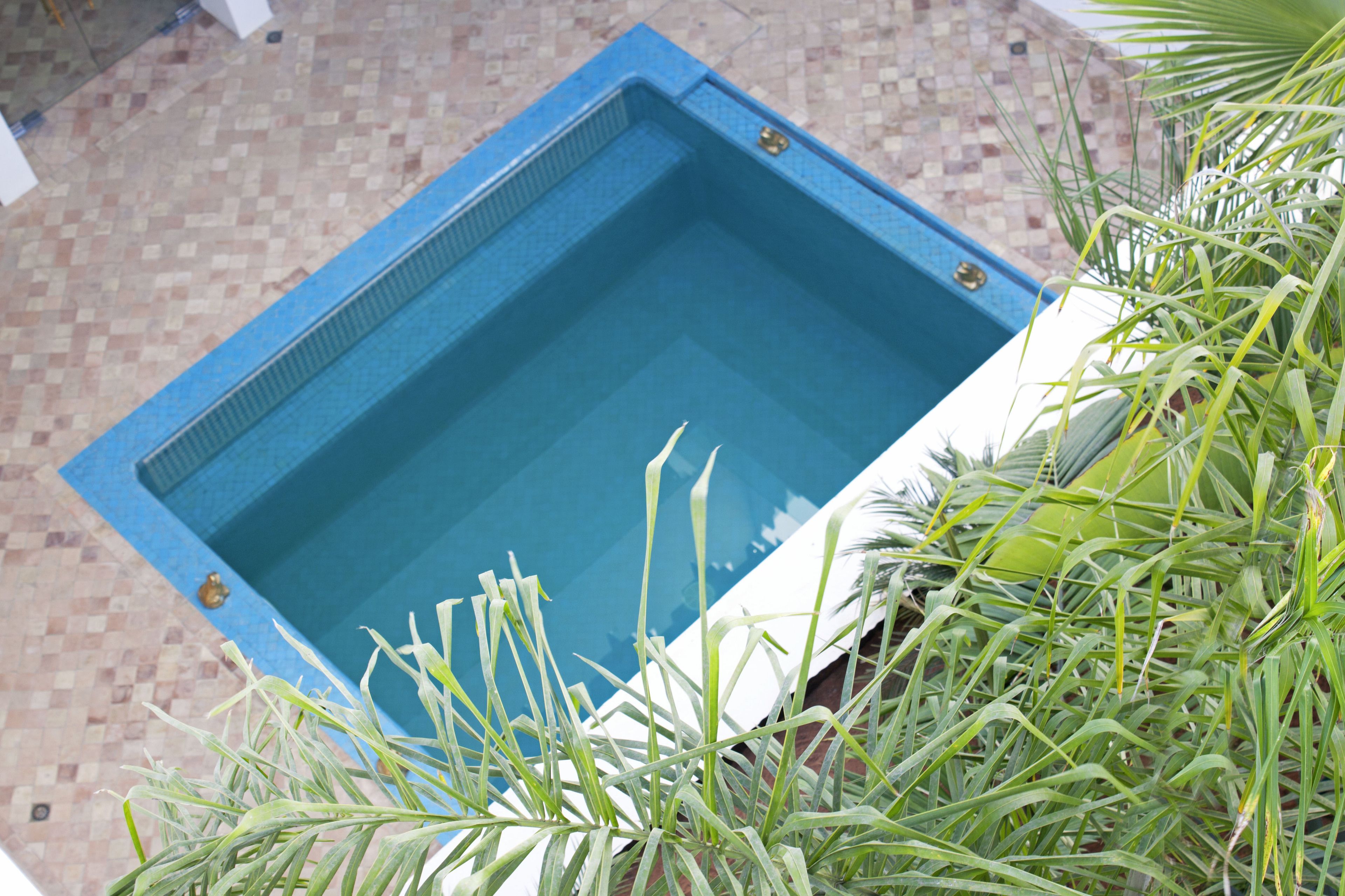 Riad Zyo