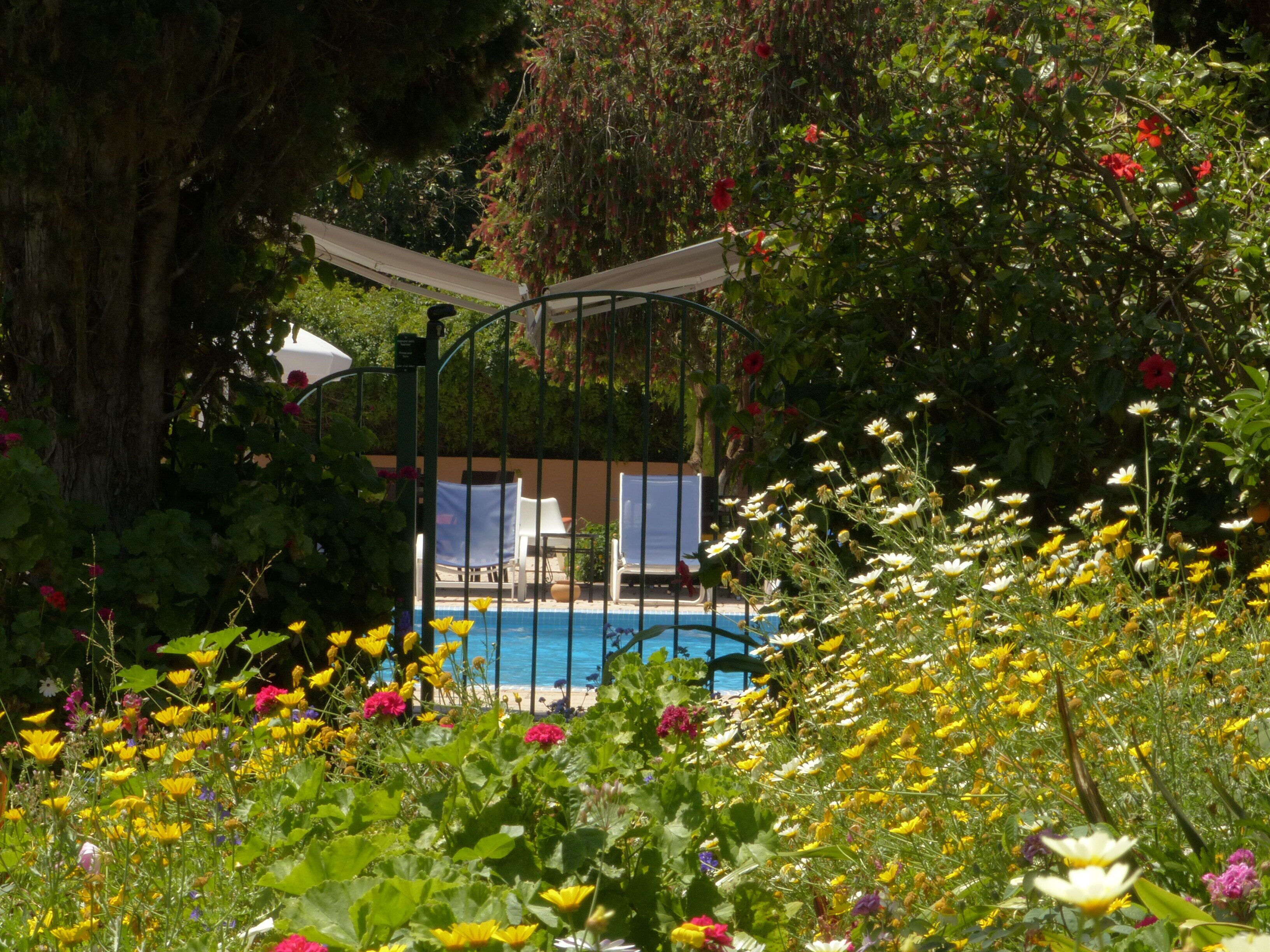 Villa Mandarine