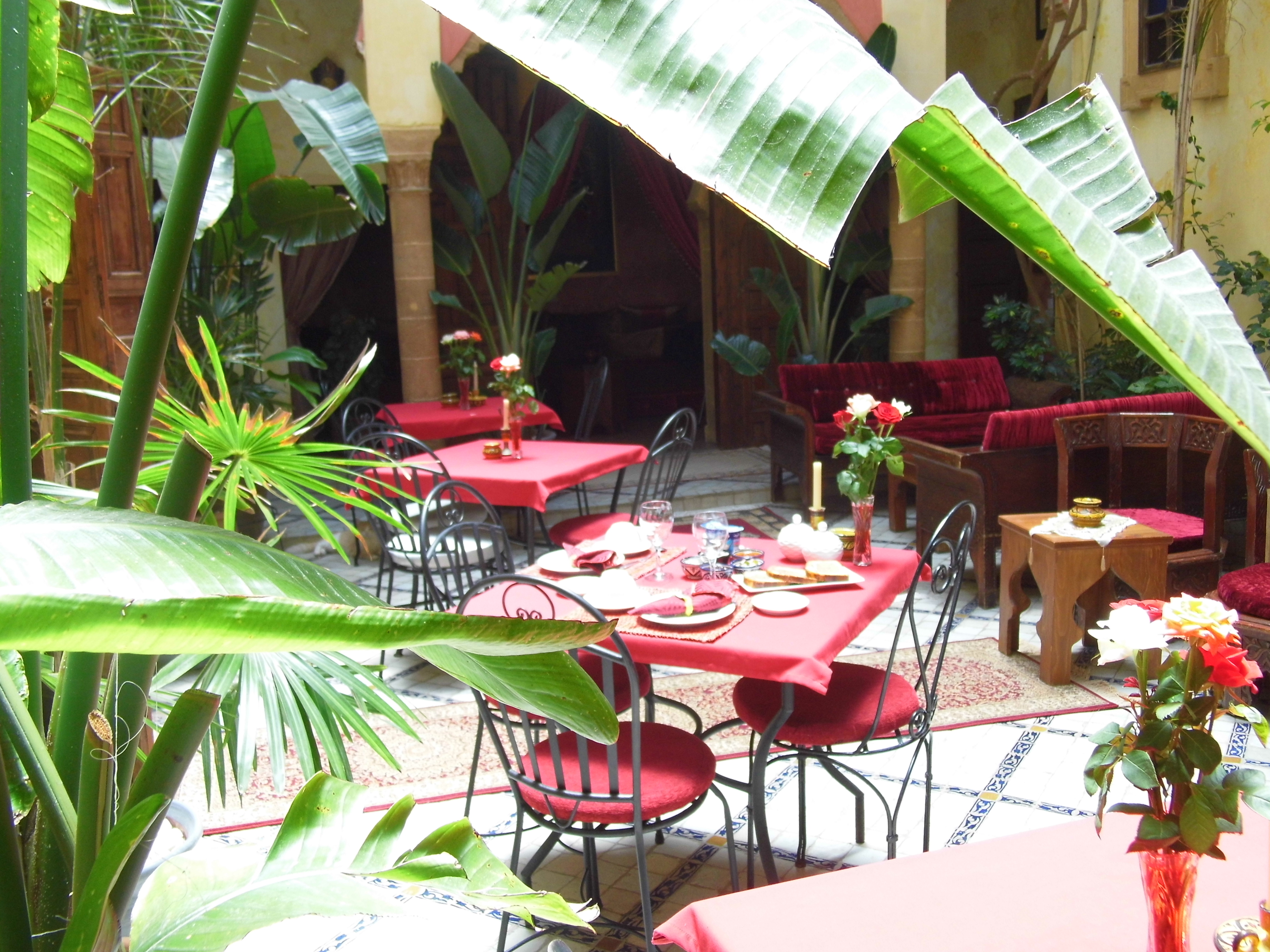Riad Marlinea