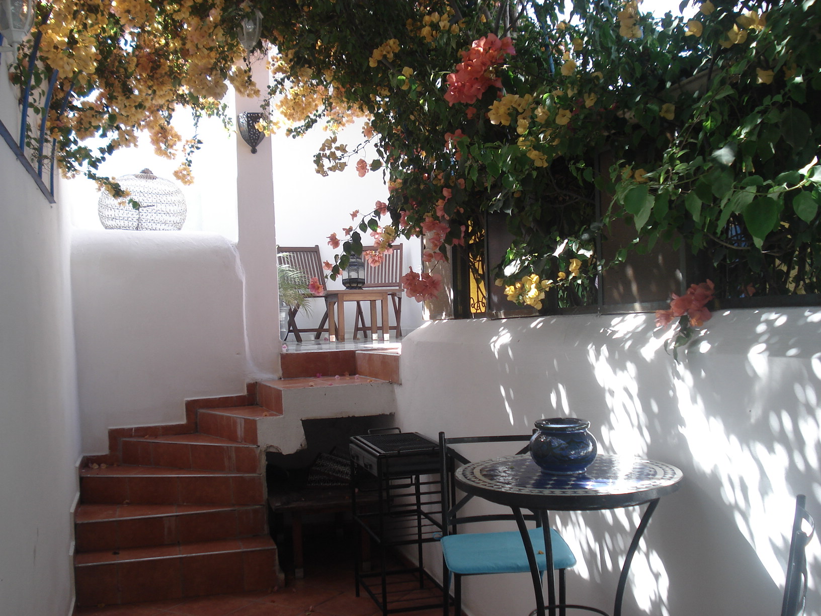 Riad Marlinea