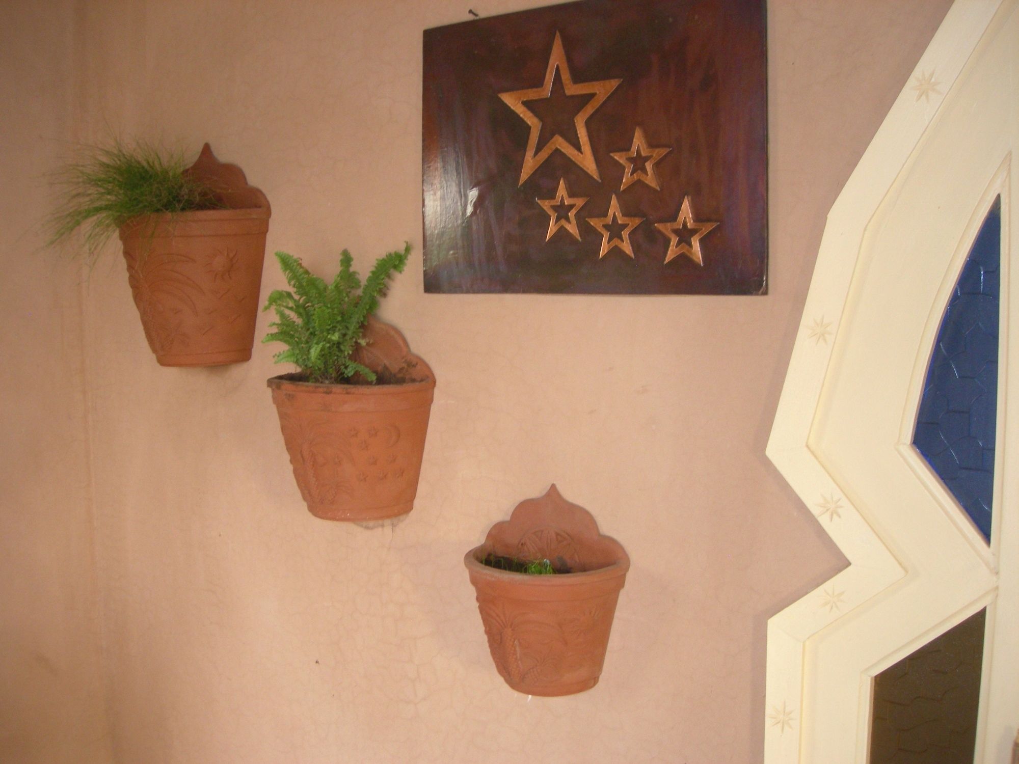 Le Jardin Aux Etoiles