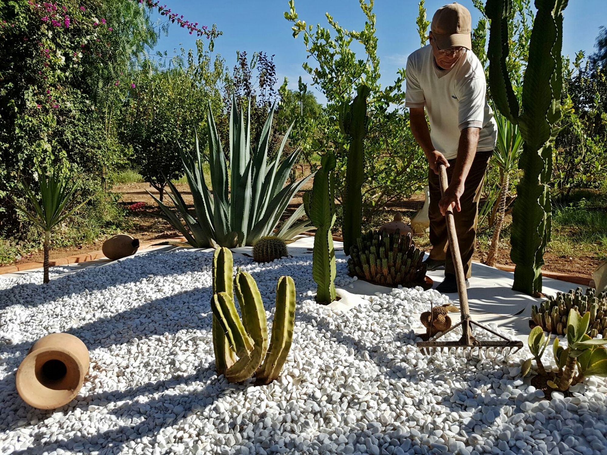Le Jardin Aux Etoiles