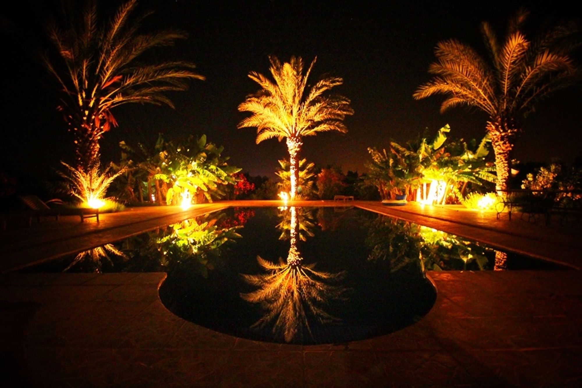 Le Jardin Aux Etoiles