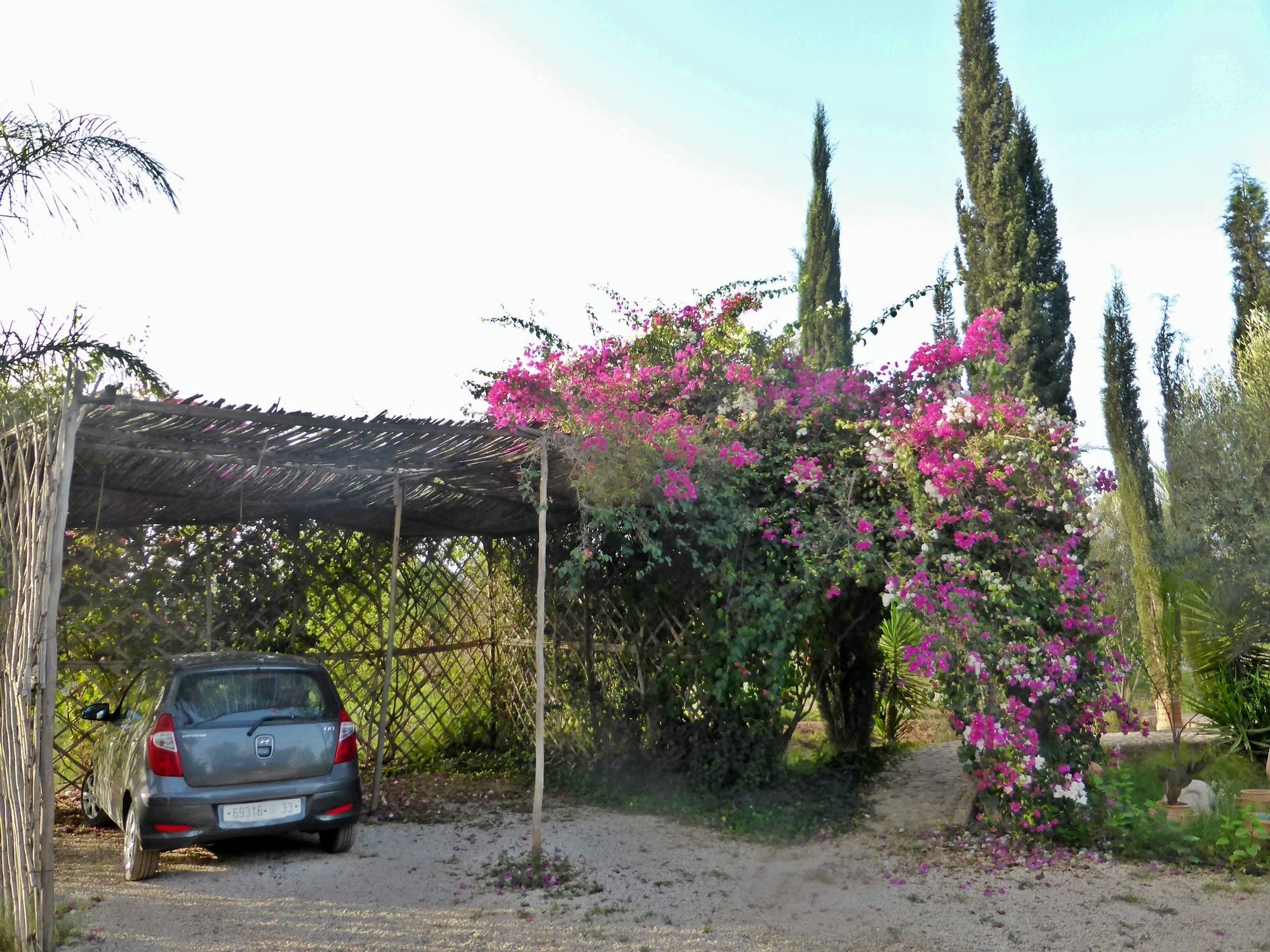 Le Jardin Aux Etoiles