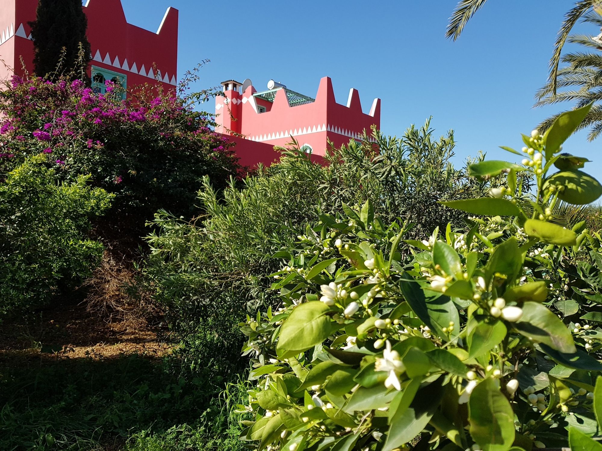 Le Jardin Aux Etoiles