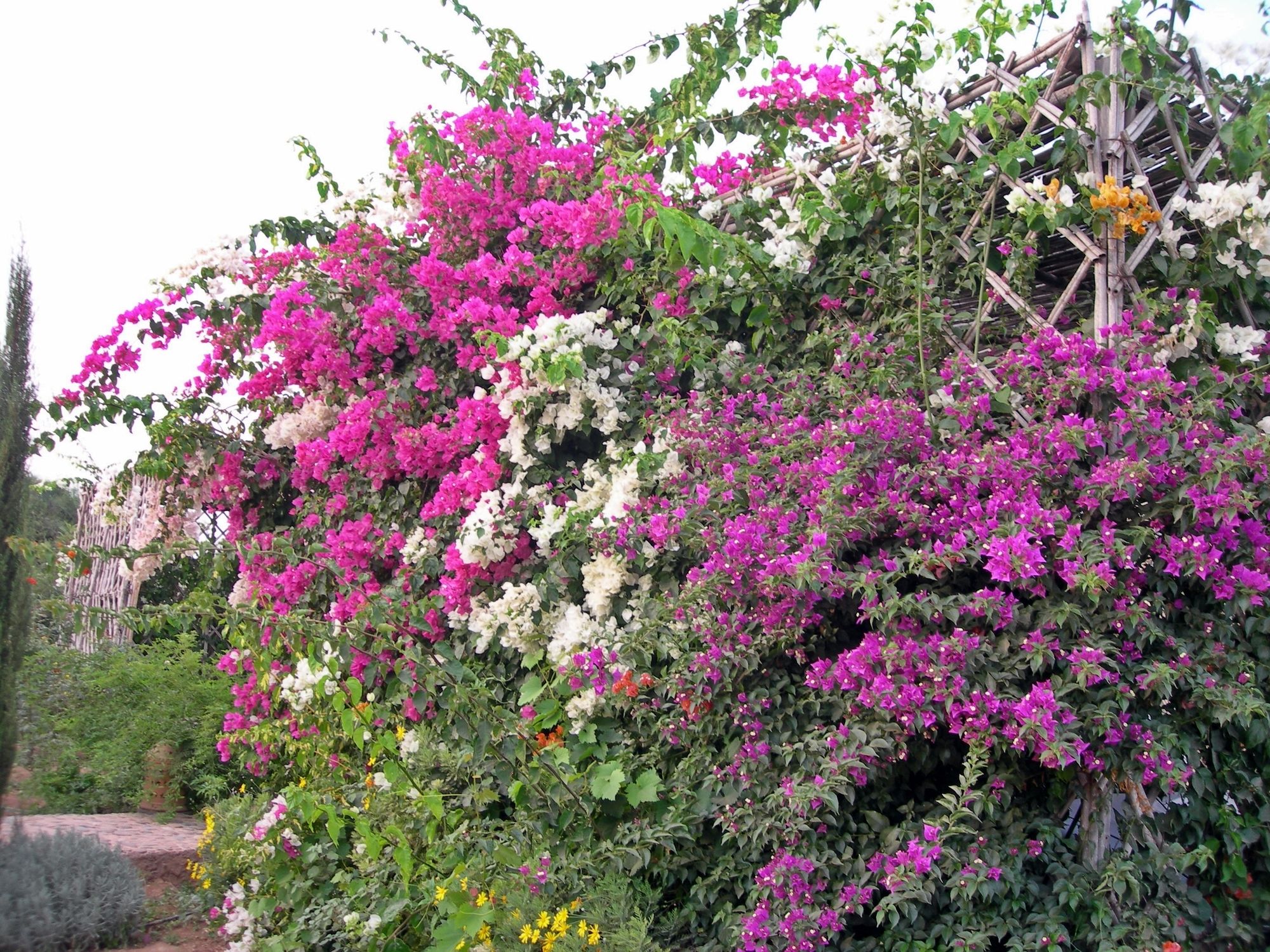 Le Jardin Aux Etoiles