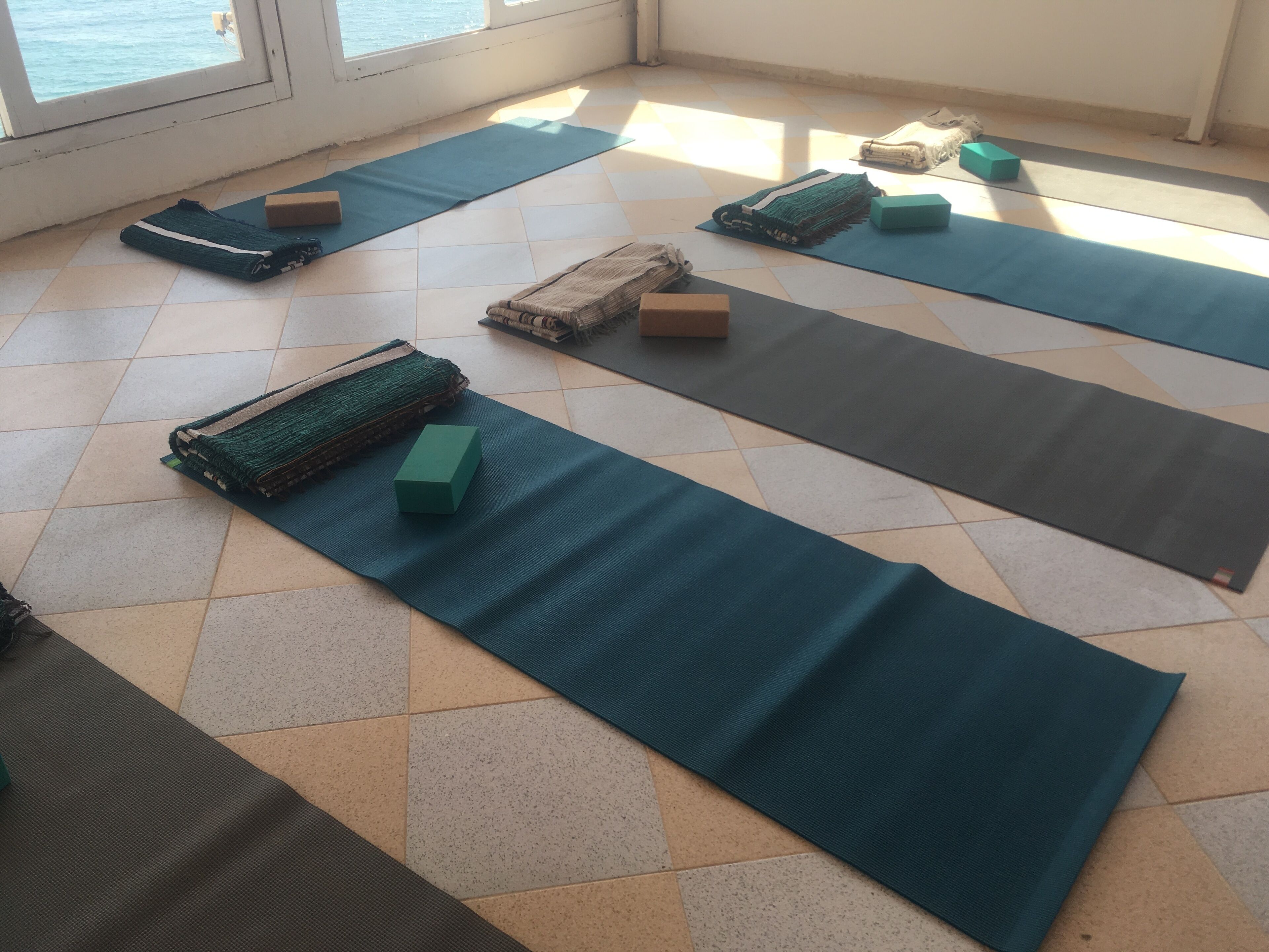 Mint Surf - Surf Camp & Yoga