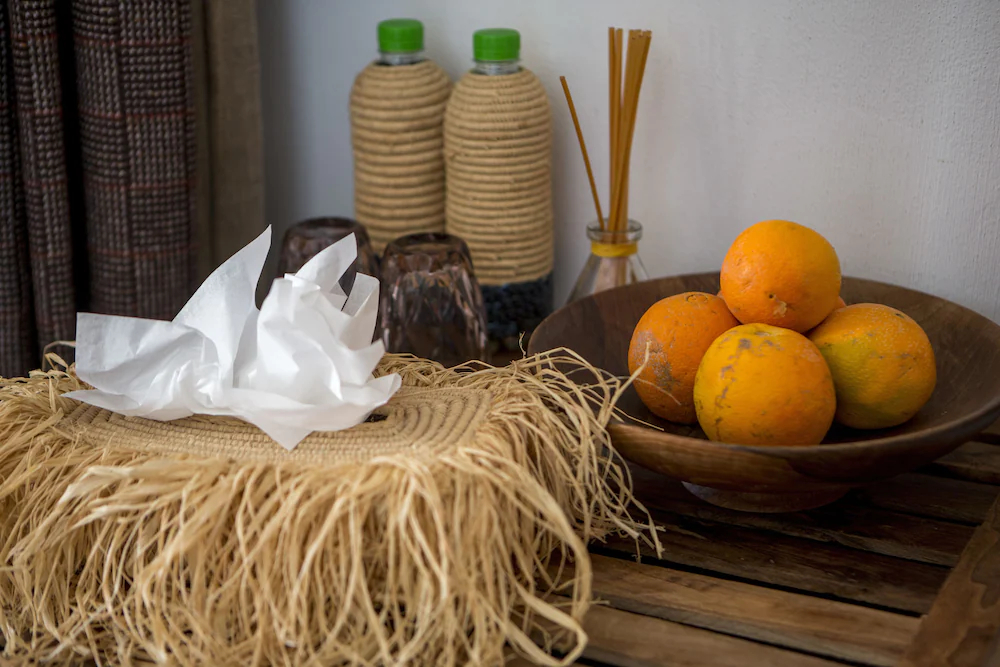 Munga Guesthouse
