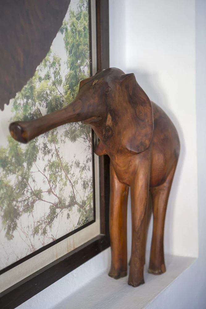 Munga Guesthouse
