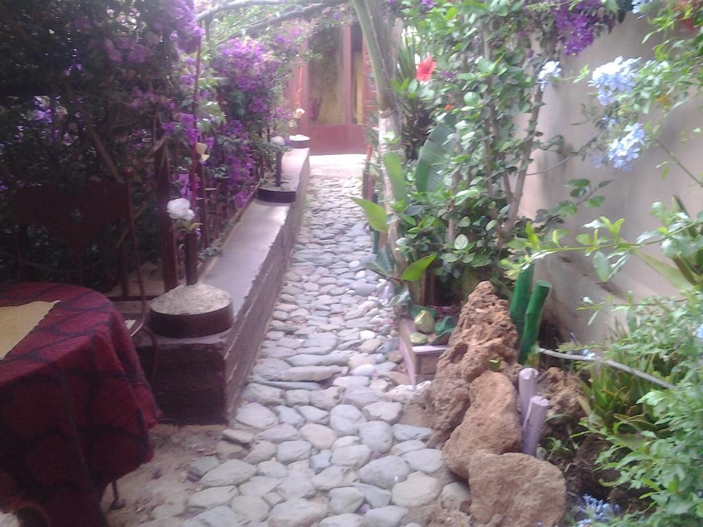 Riad le Lieu