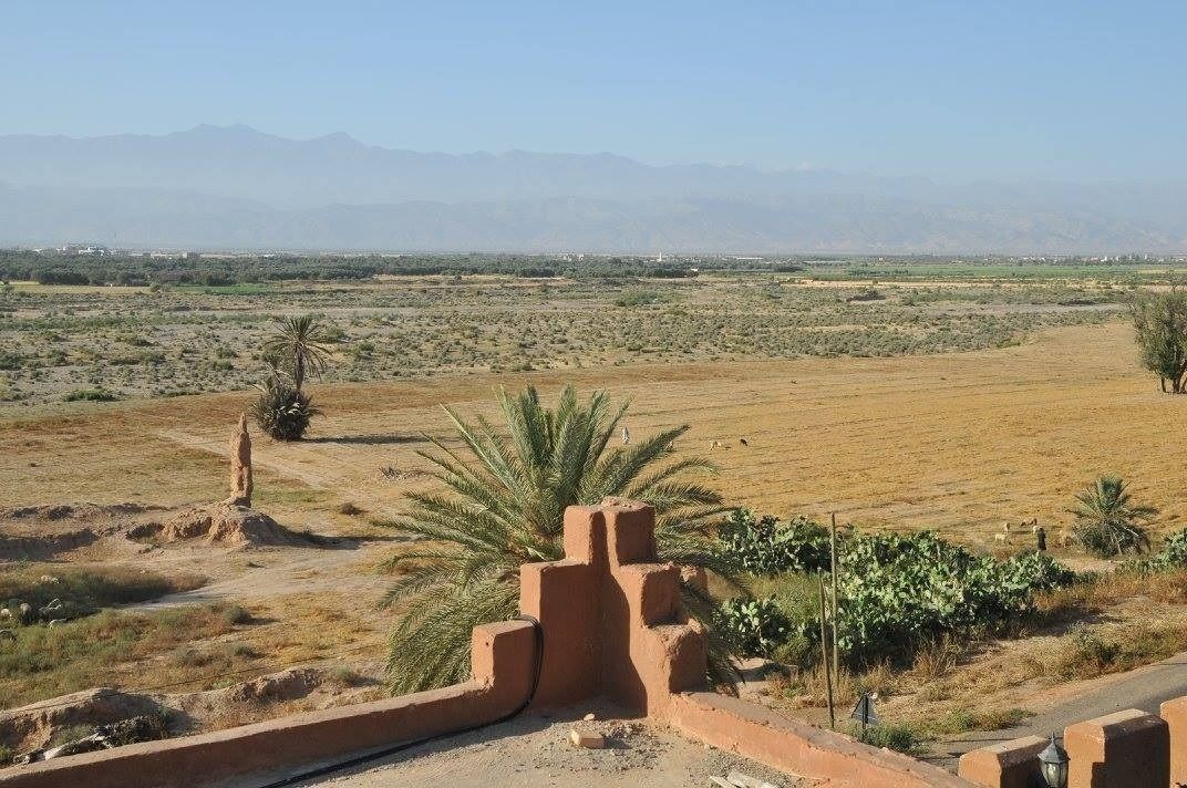 Riad Freija