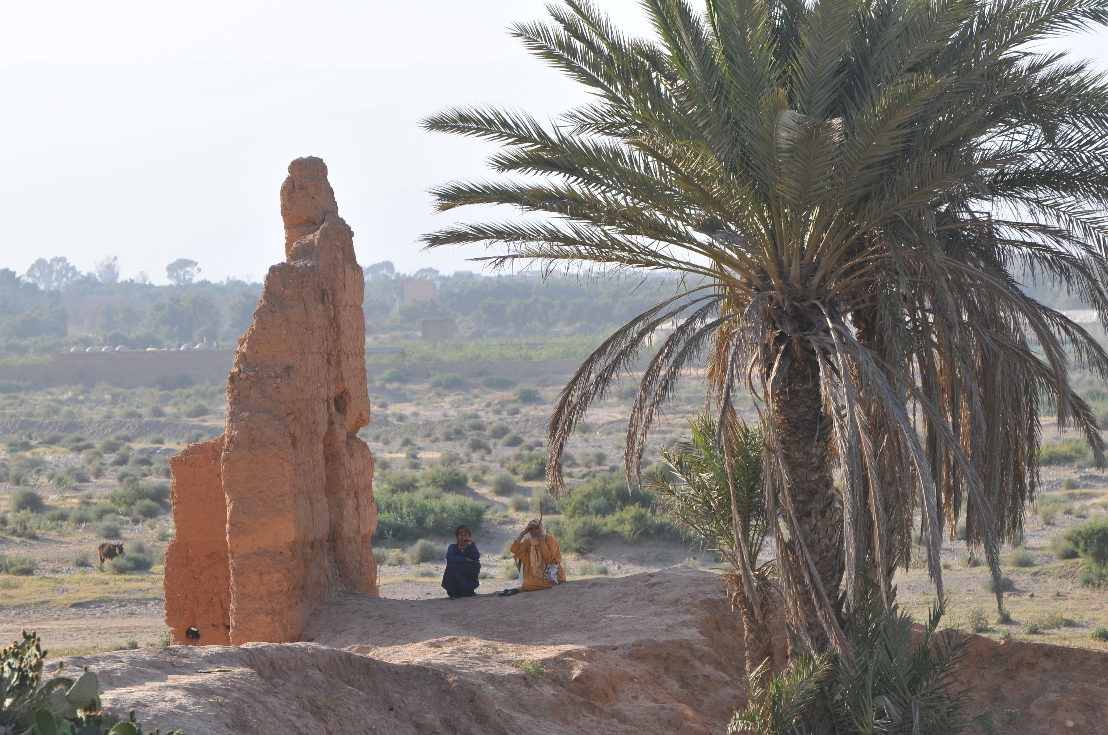 Riad Freija