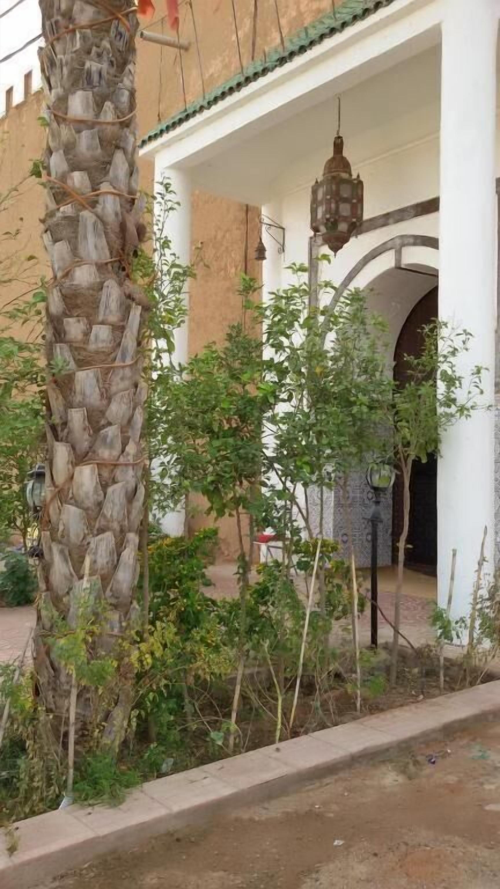 Riad Freija