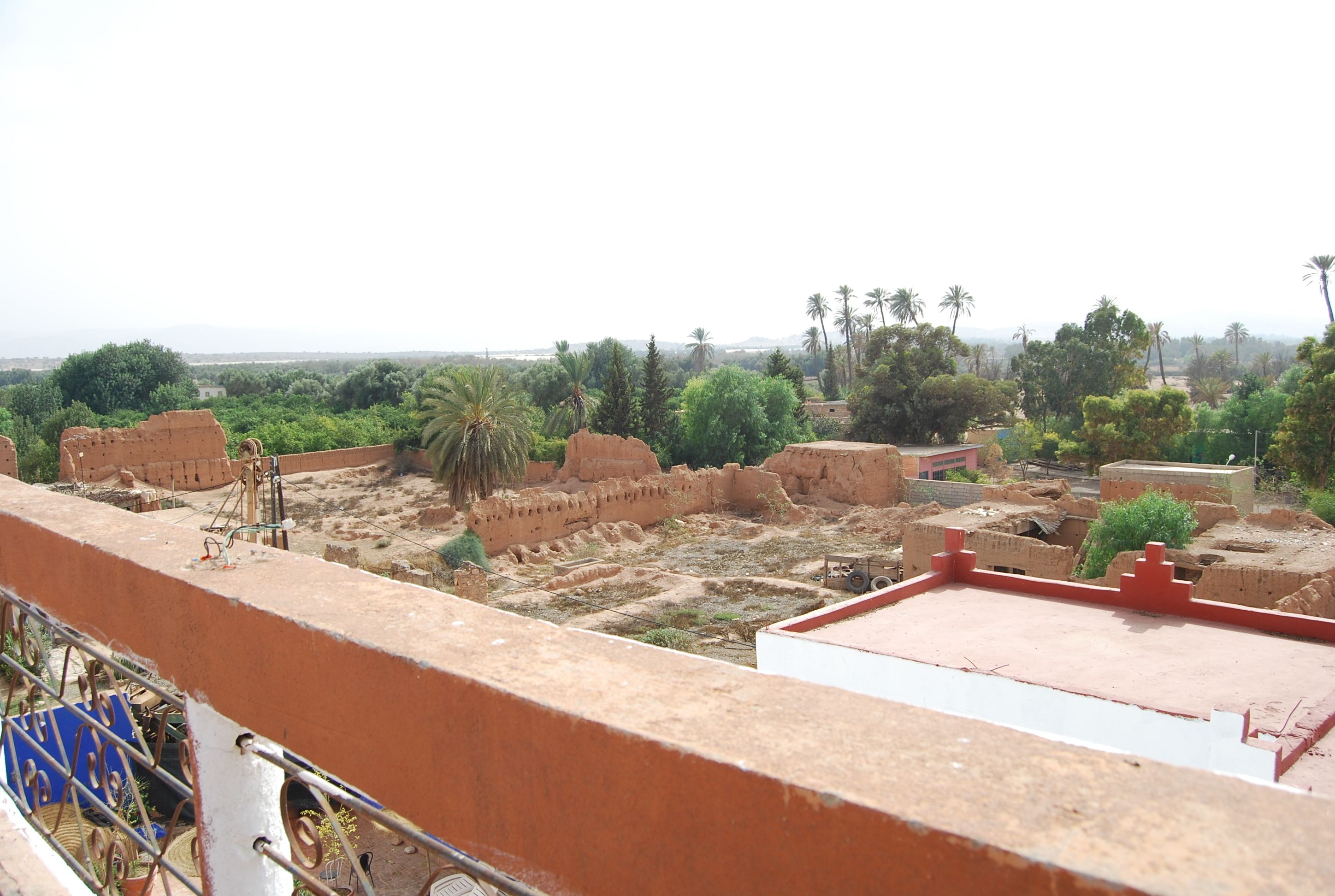 Riad Freija