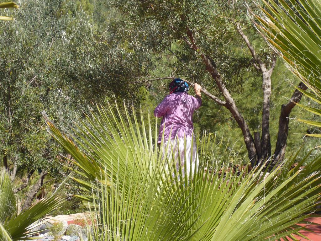 Sel D'ailleurs