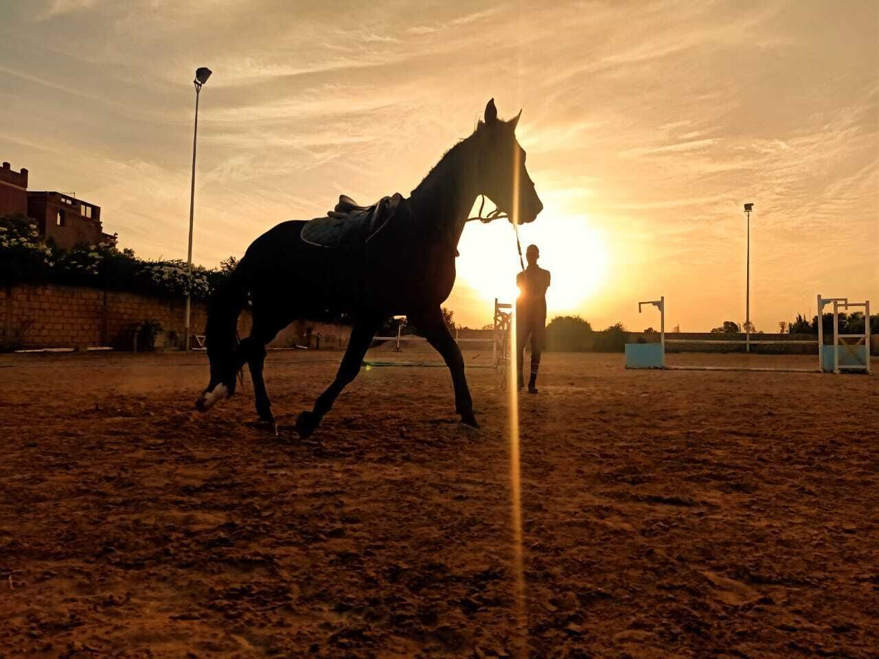 Equi Palace & Spa Near Aeroport