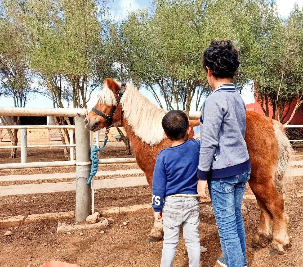 Equi Palace & Spa Near Aeroport