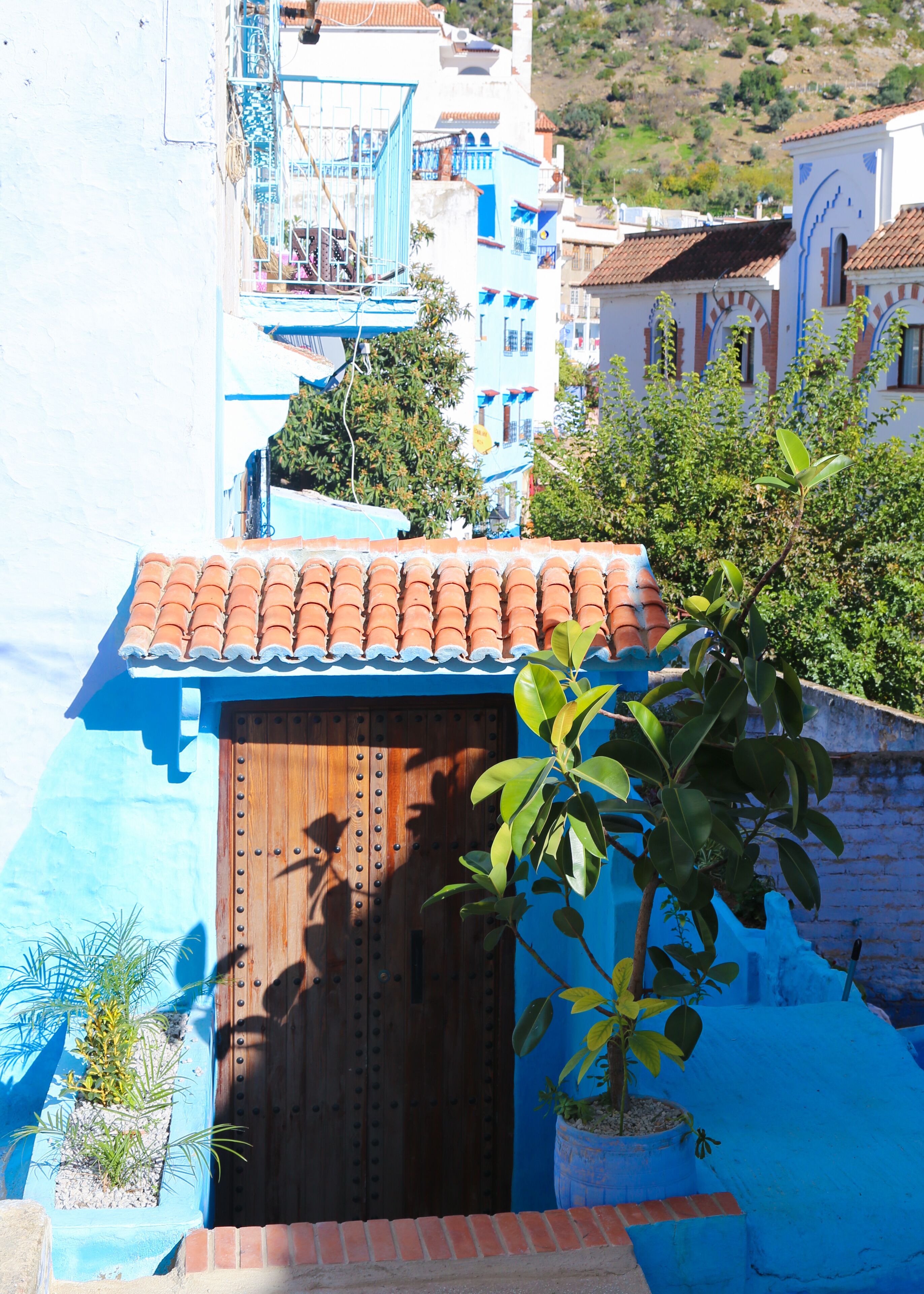 Casa Blue Pearl