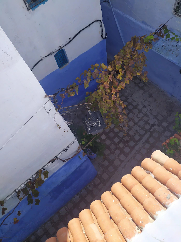 Casa Blue Star