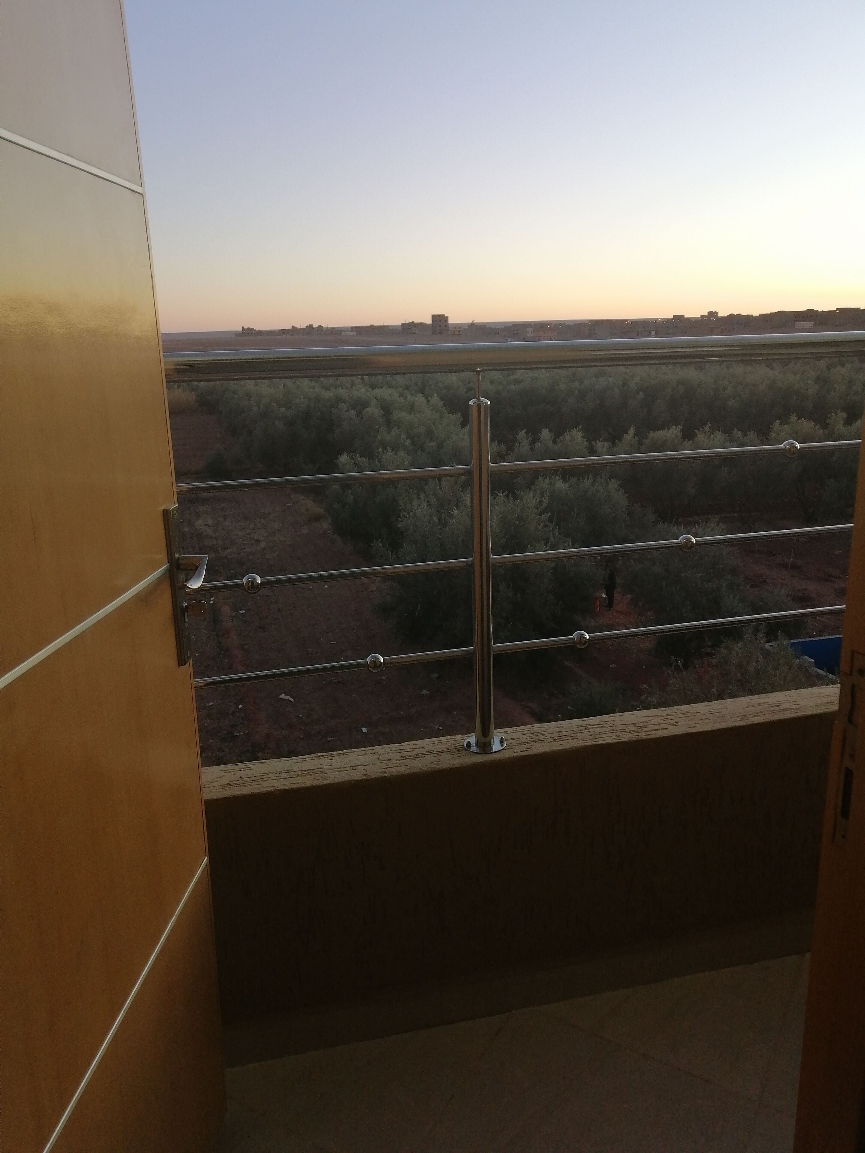 Hotel Oasis Palace