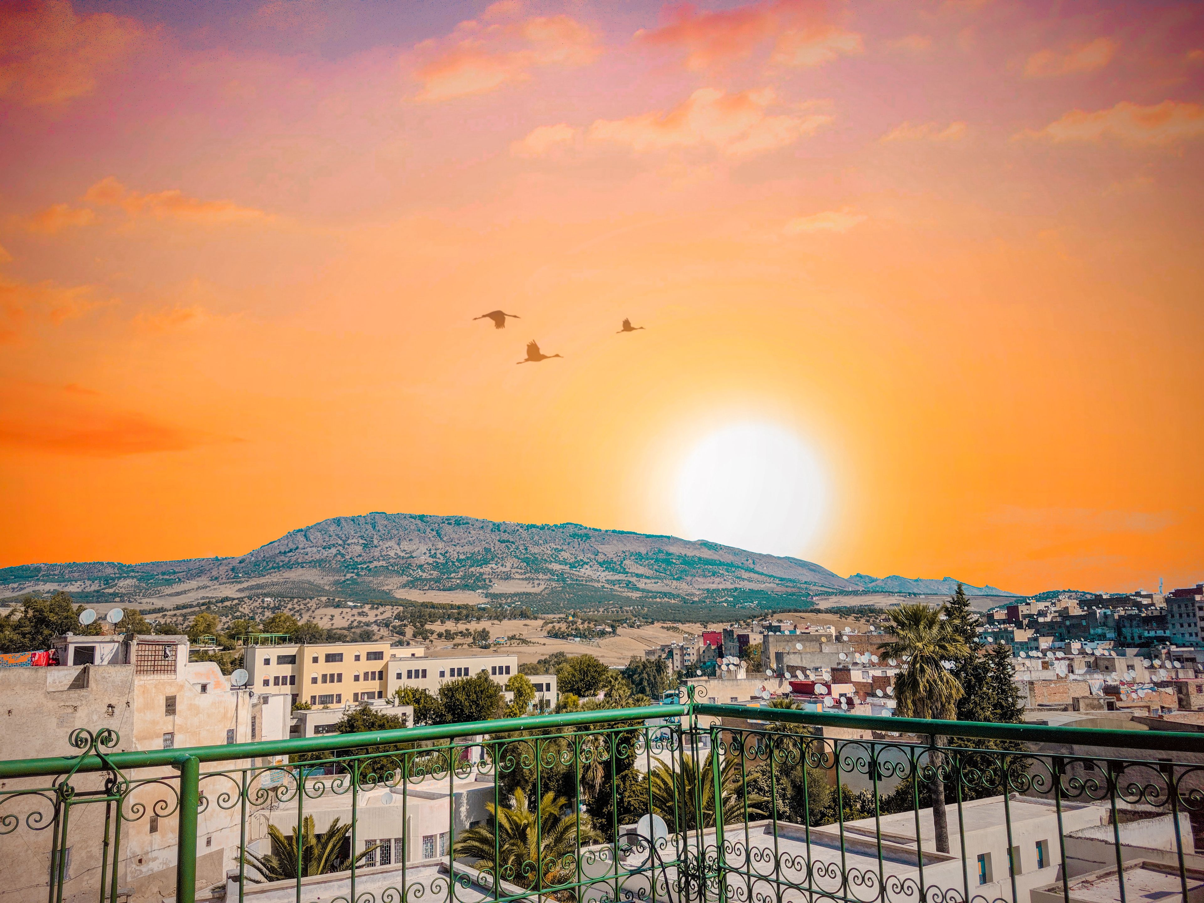 Hostel El Blida