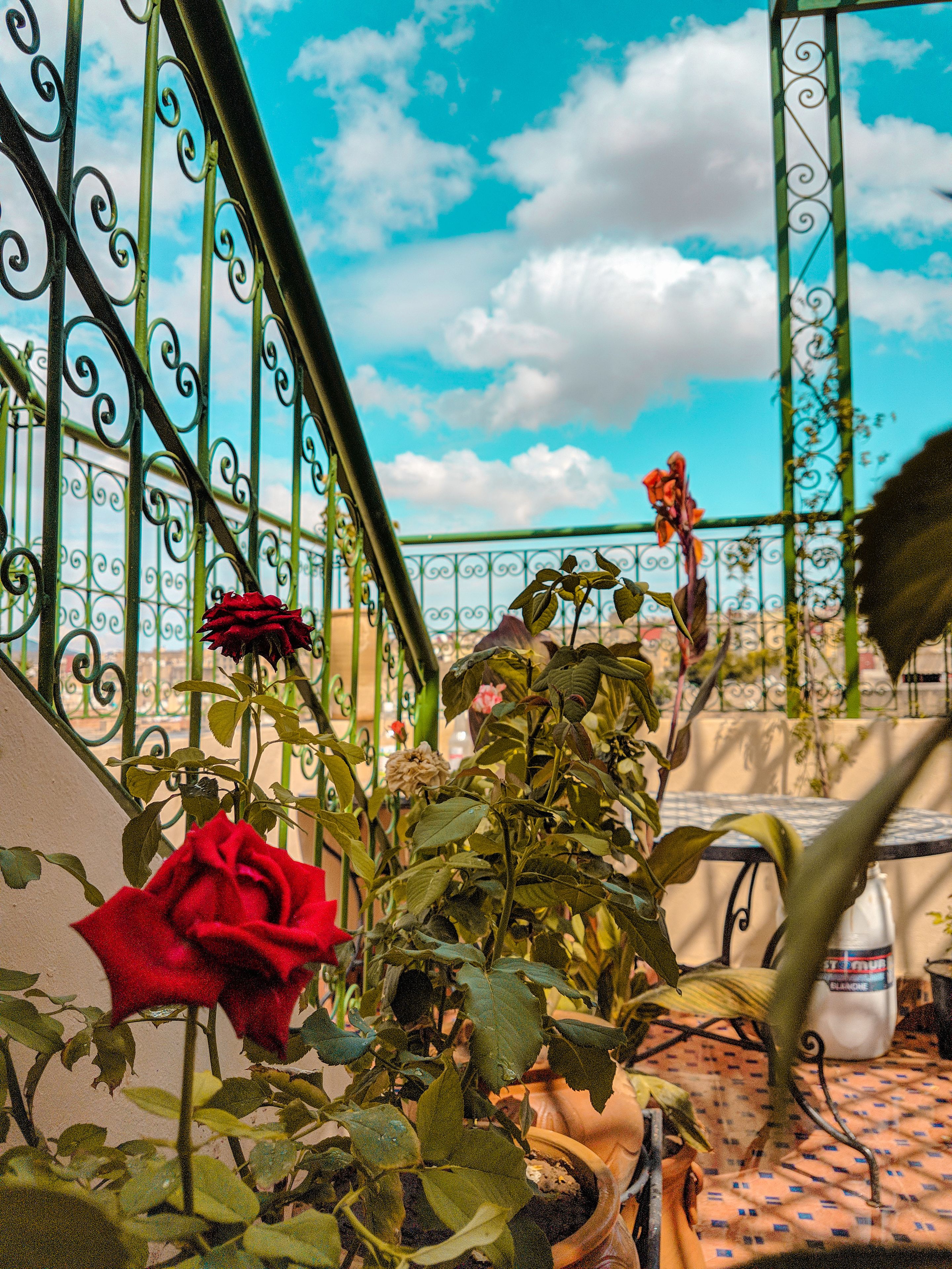Hostel El Blida