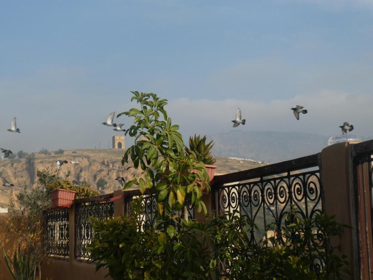 Riad Dar Naima
