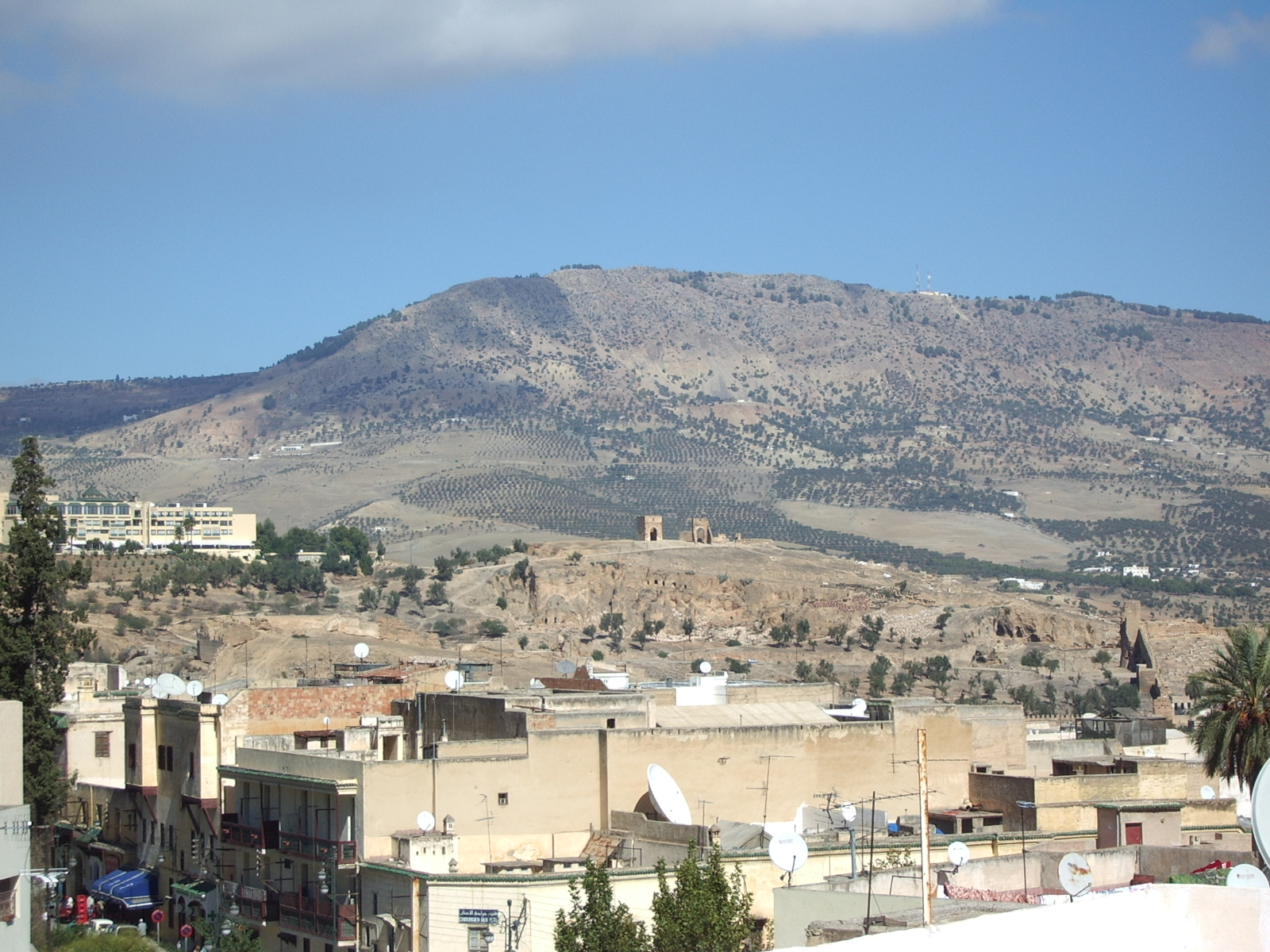 Riad Ibn Battouta