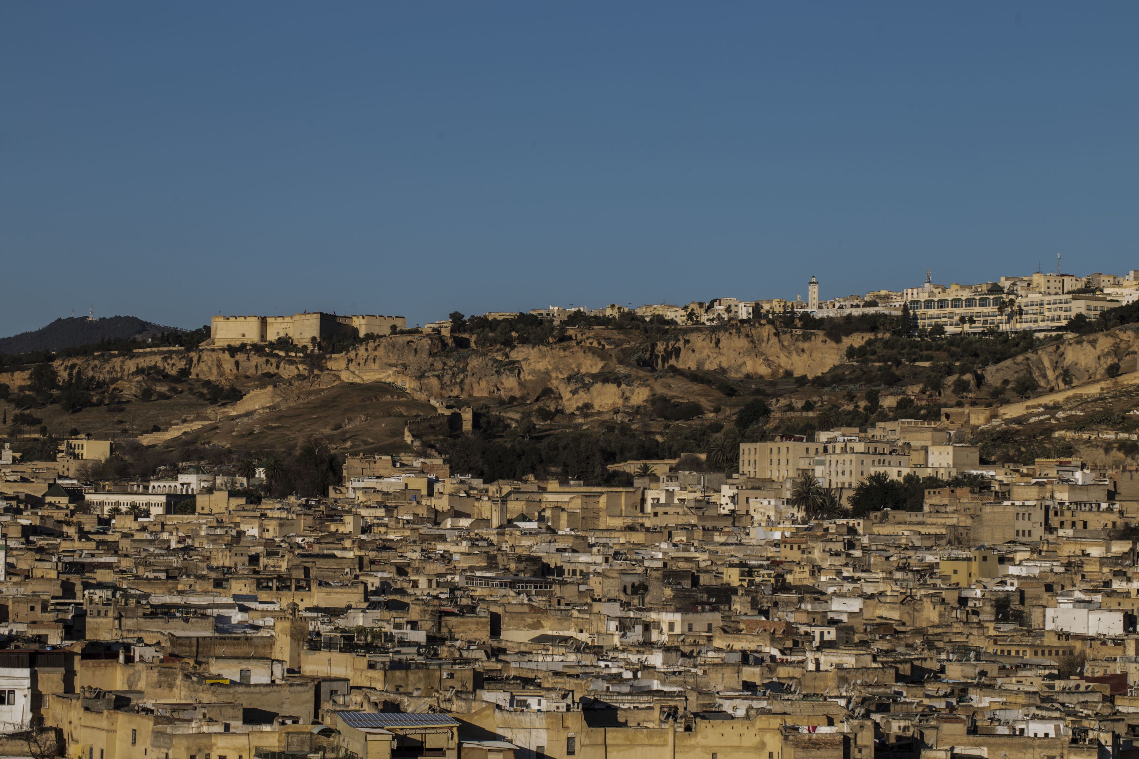Riad Jamaï