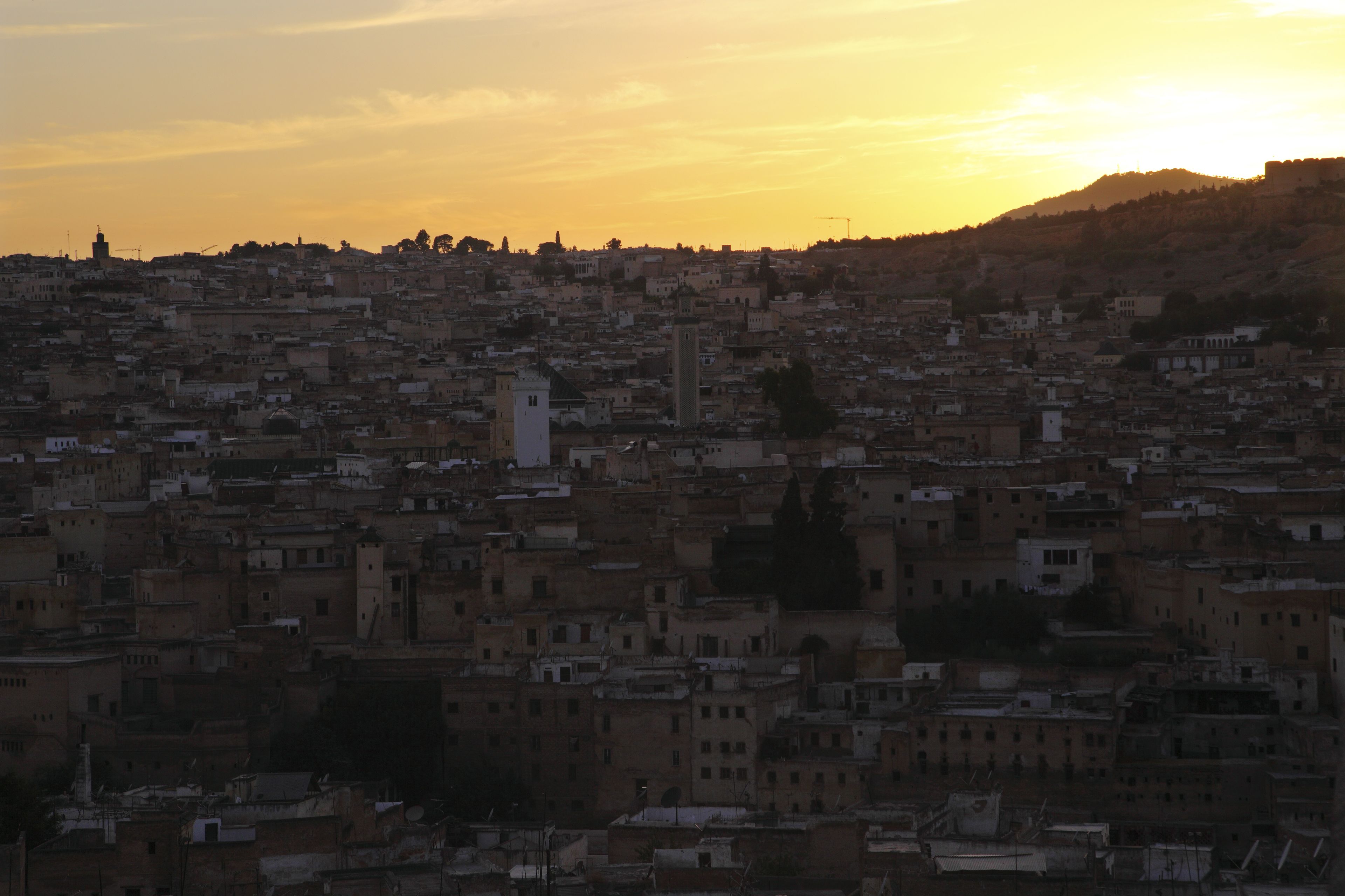 Riad Jamaï