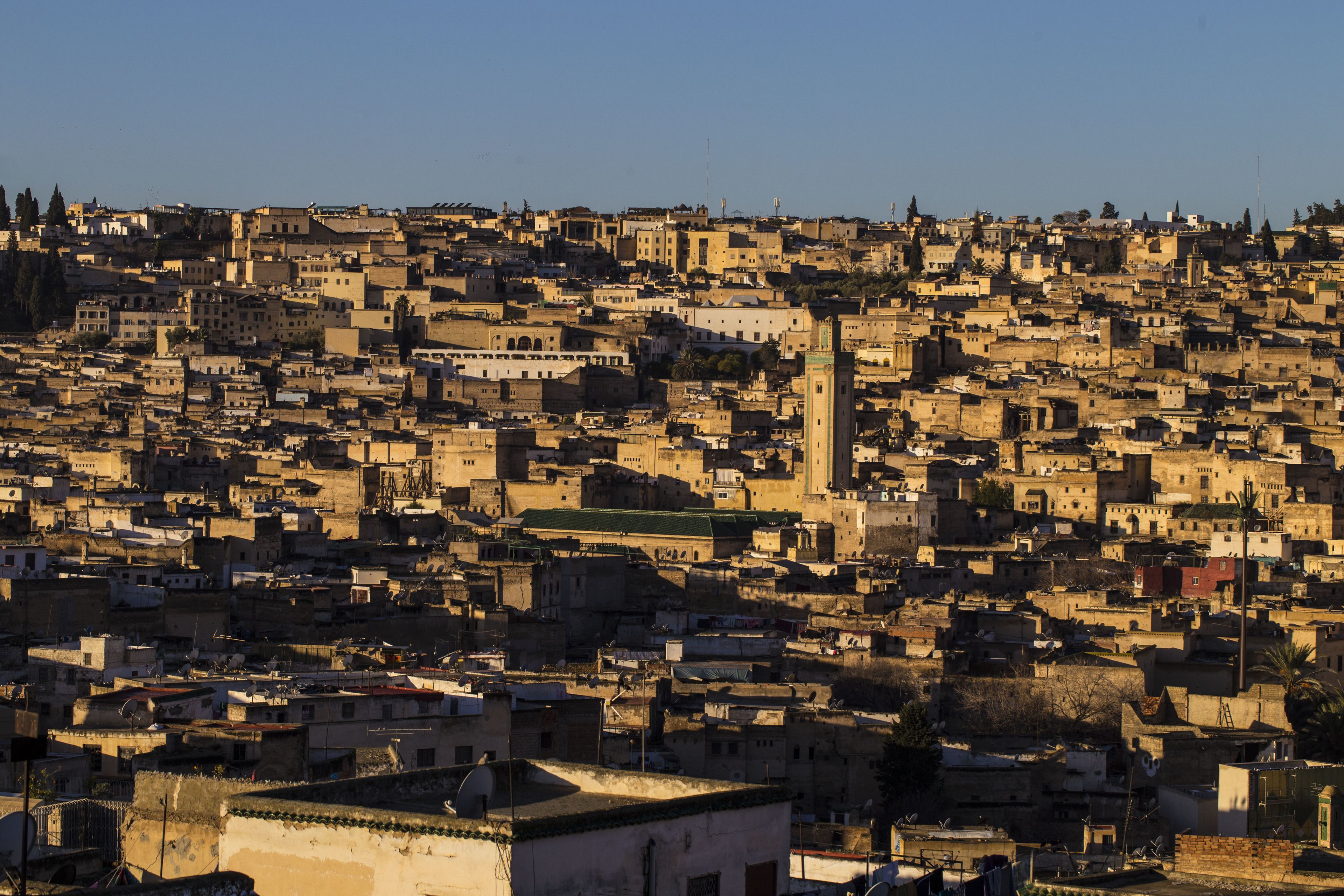 Riad Jamaï