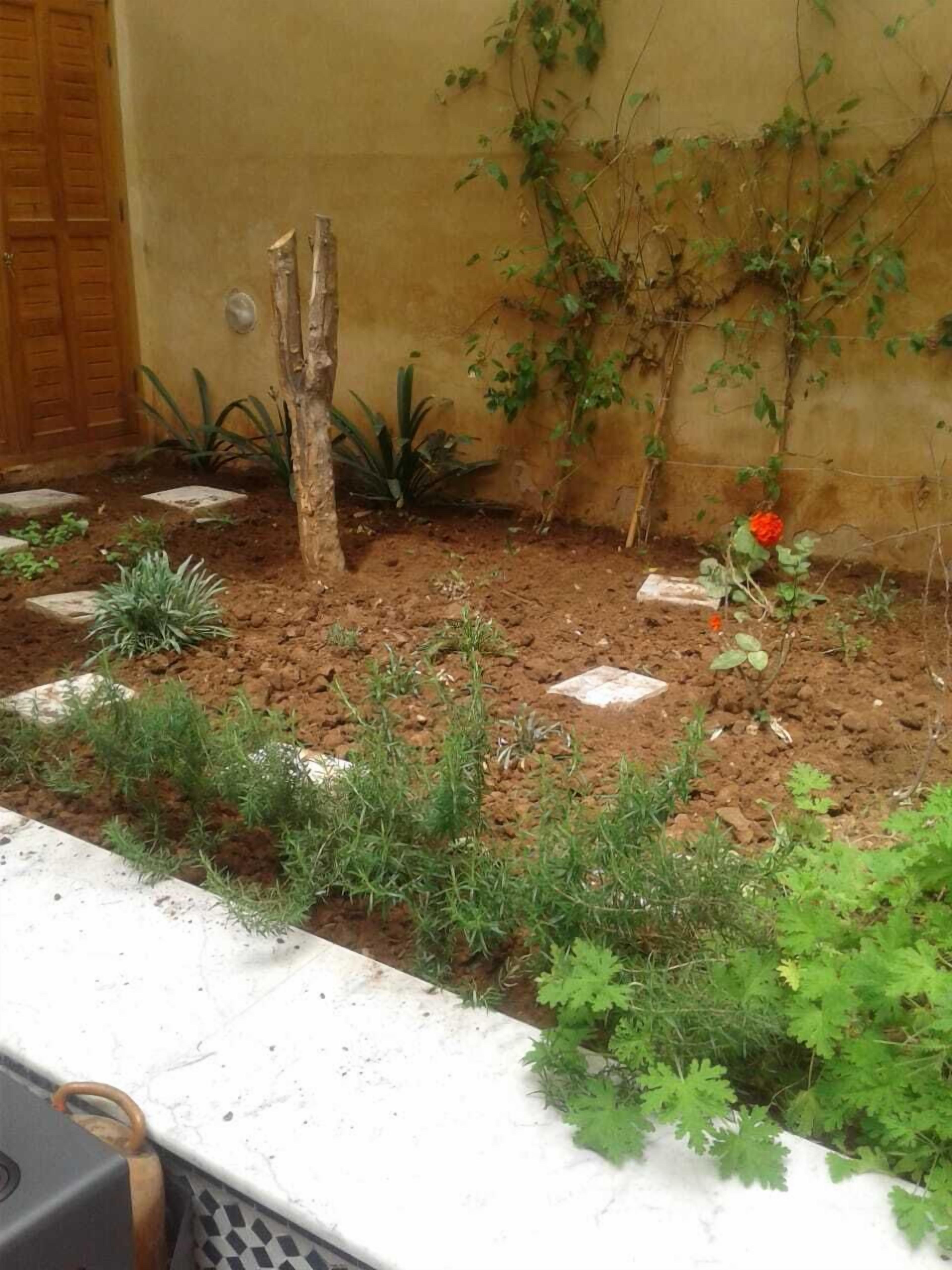 Riad Jasmins & Spa