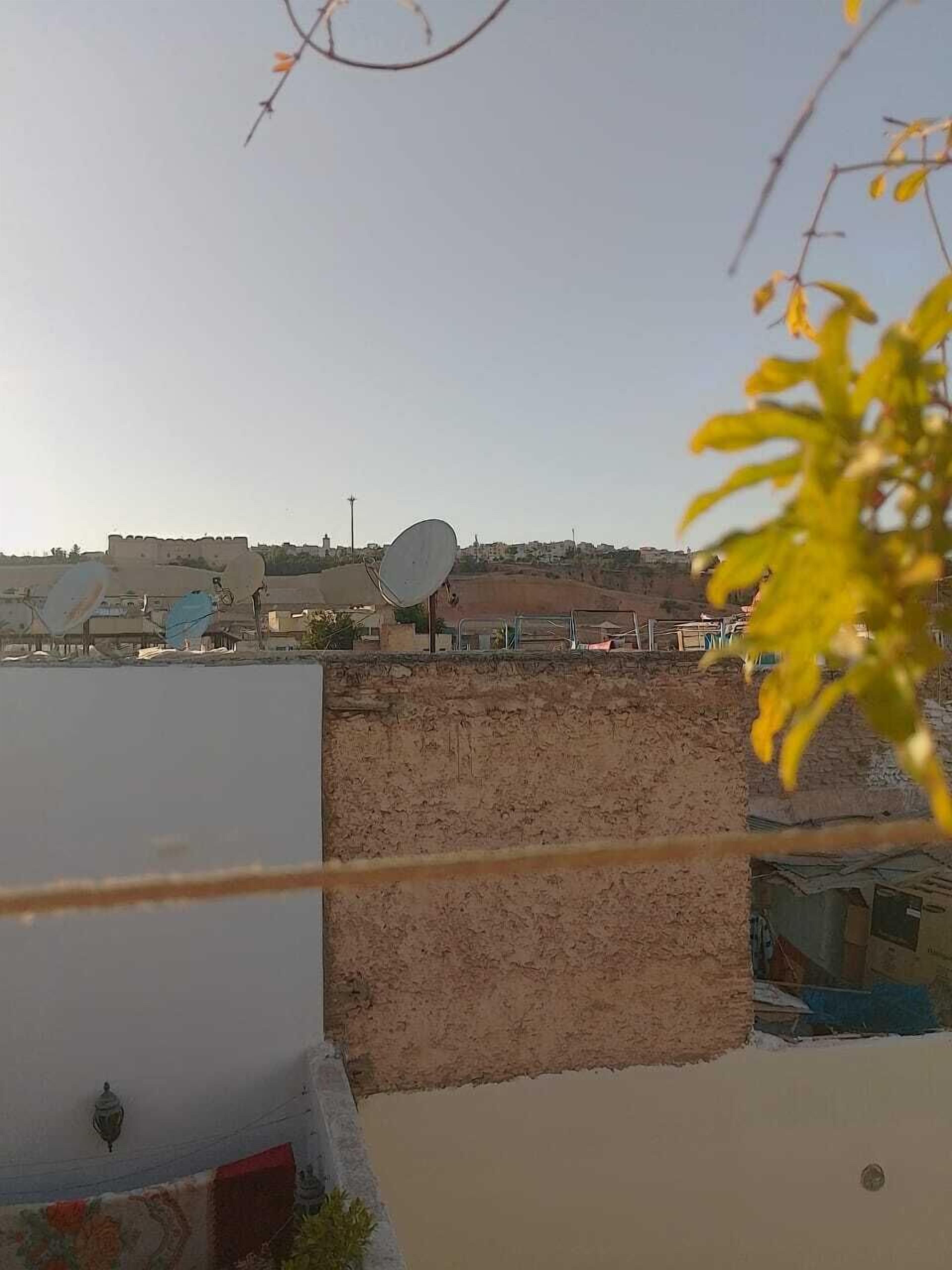 Riad Lala Drissia