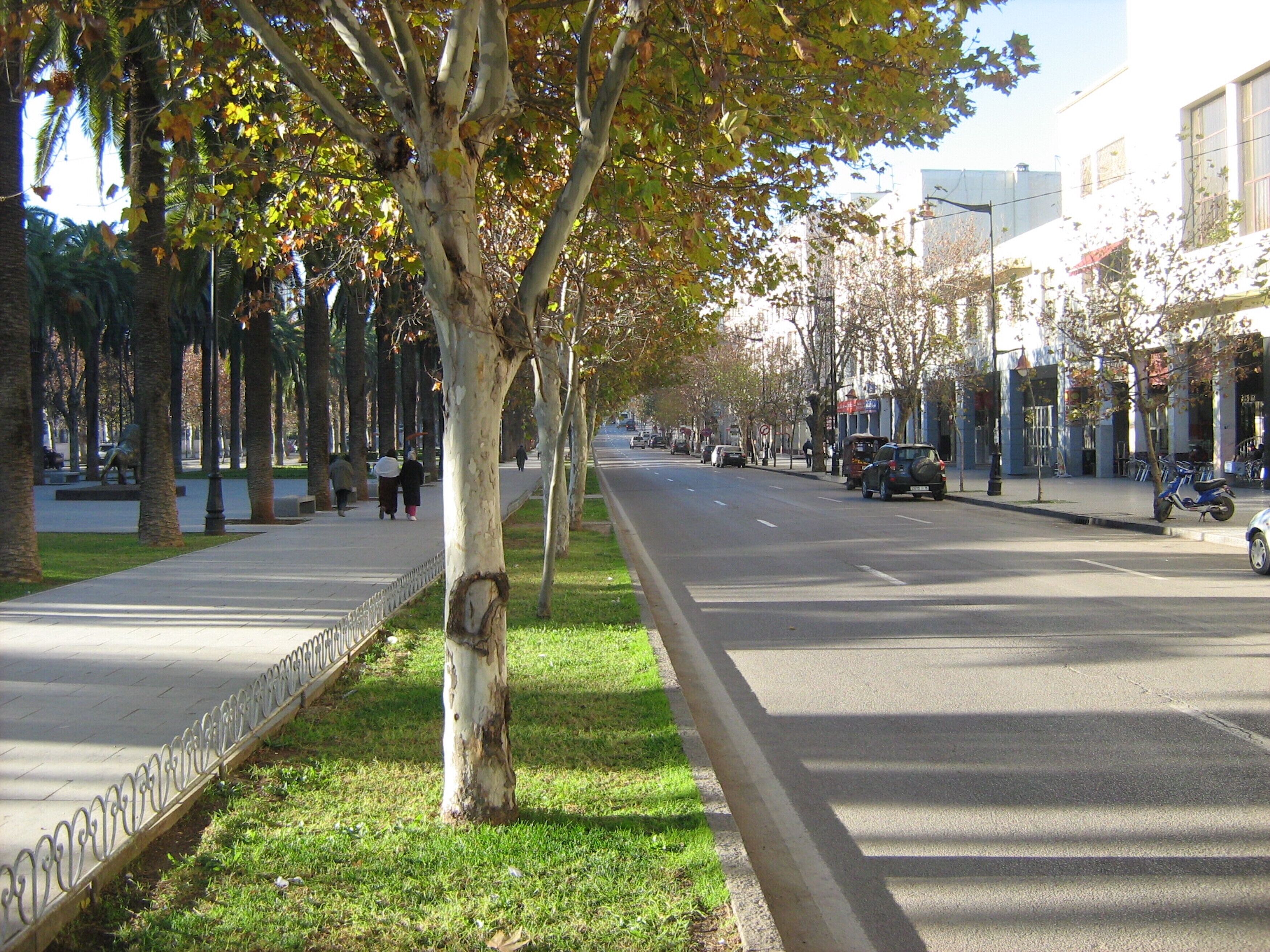 Riad Ouliya