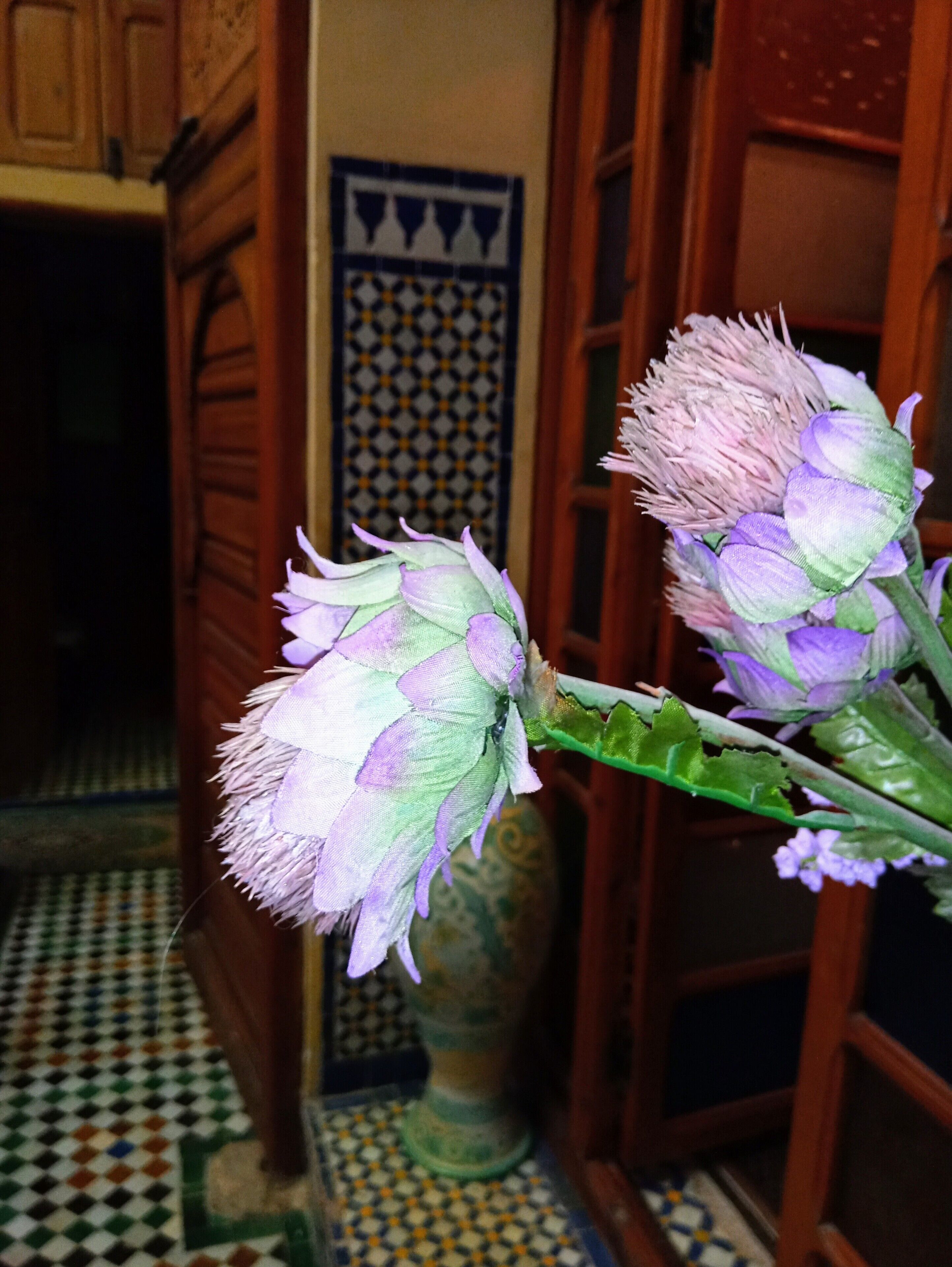 Riad Rchacha