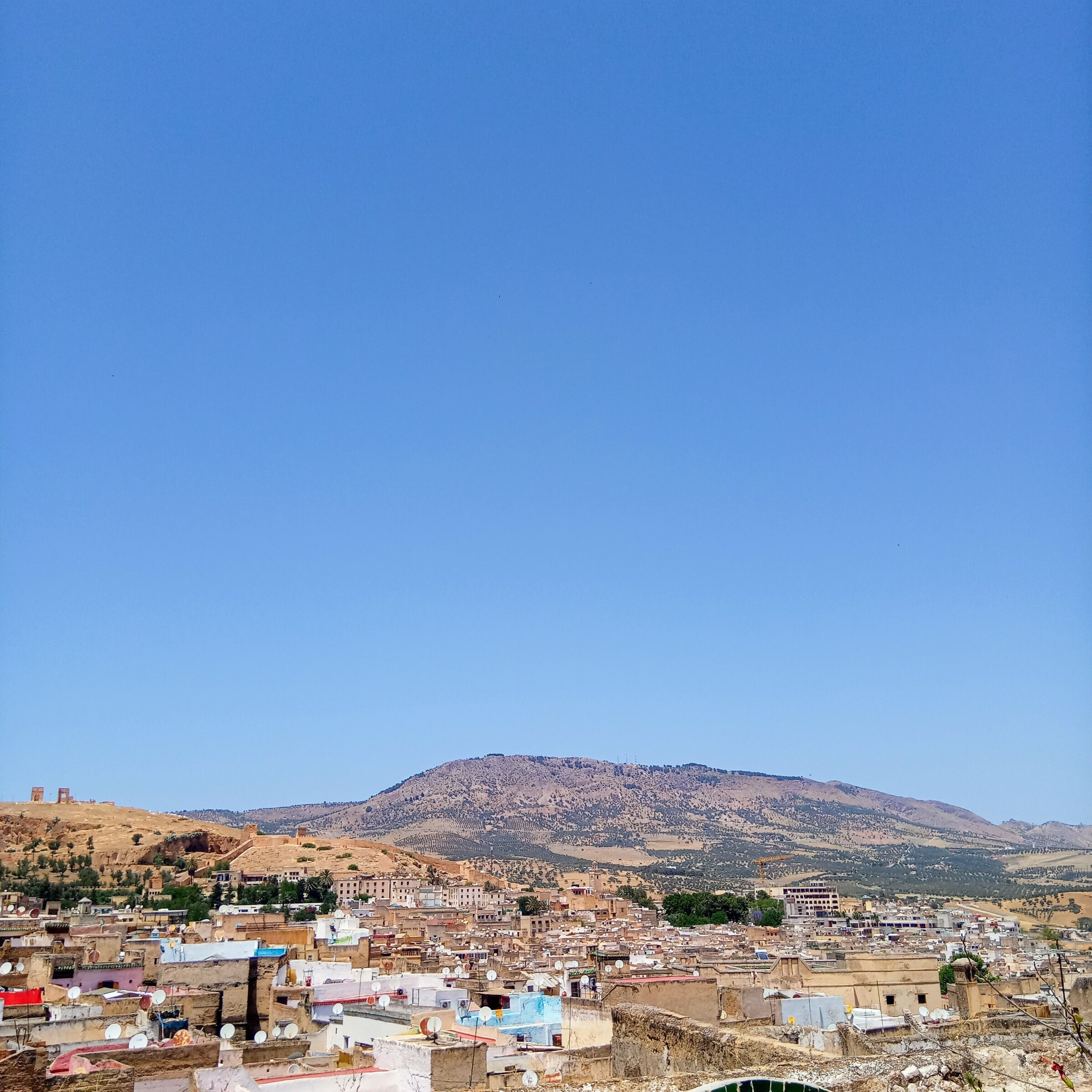 Riad Rchacha