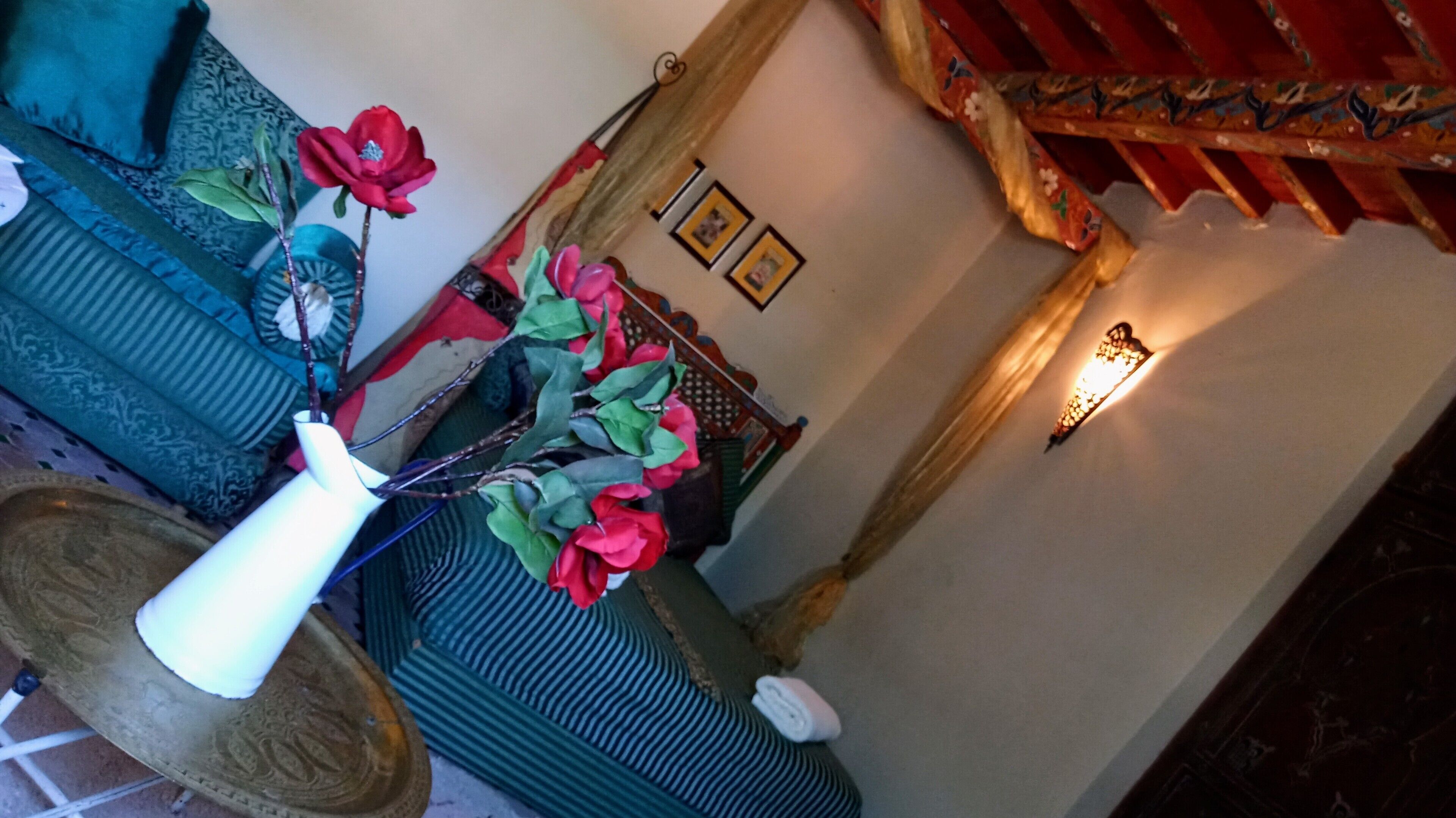 Riad Rchacha