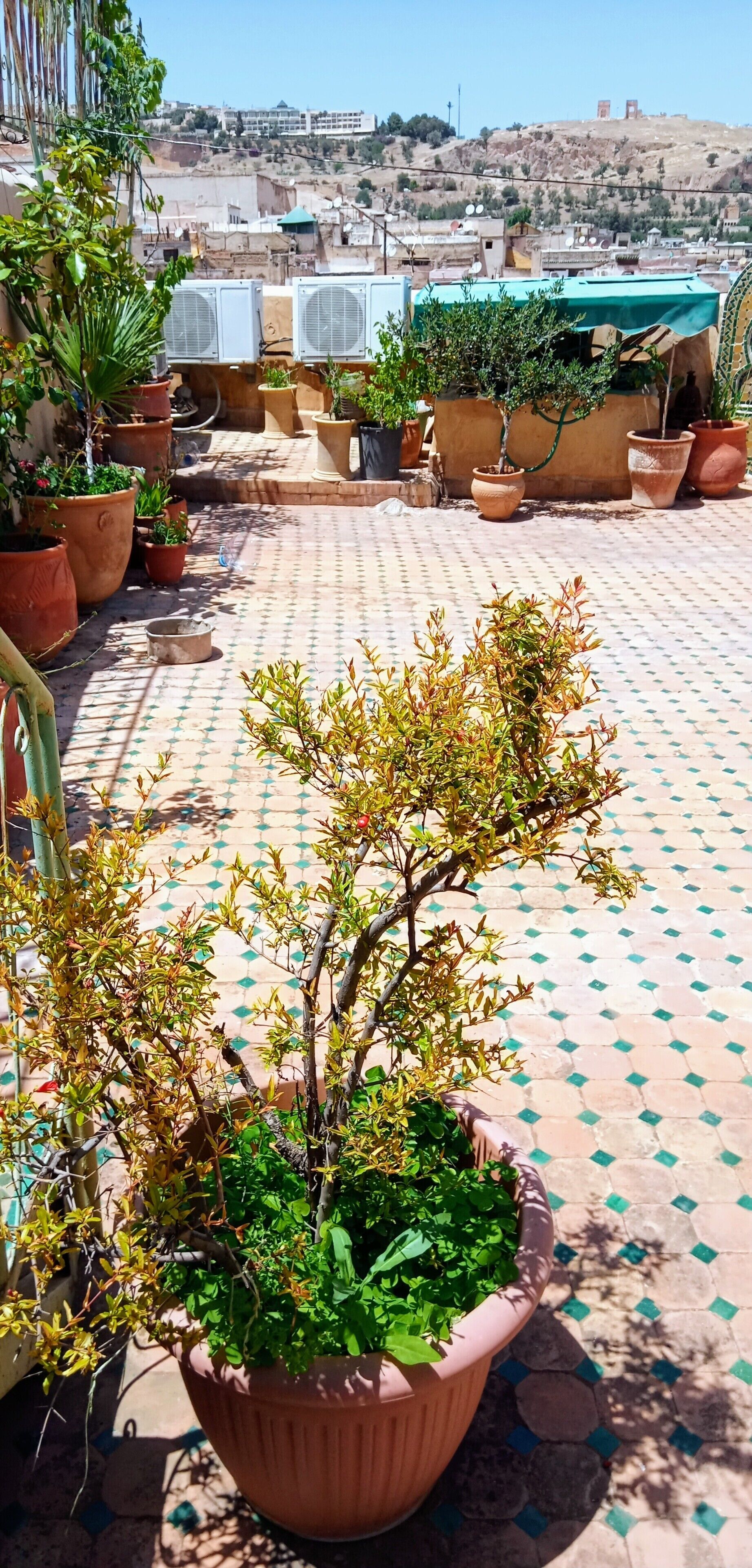 Riad Rchacha