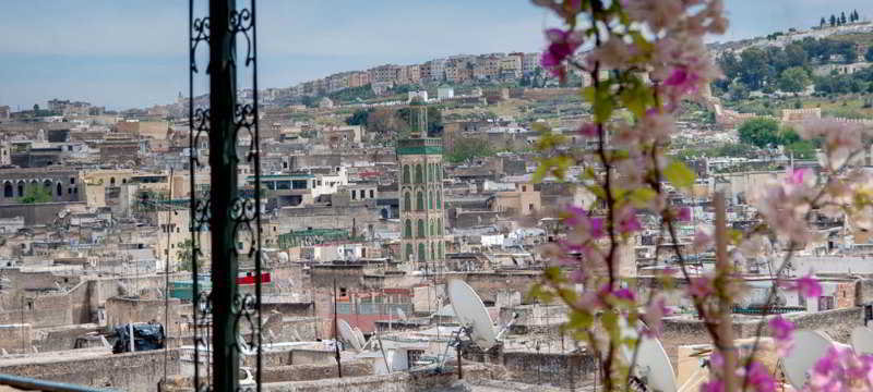 Riad Rcif