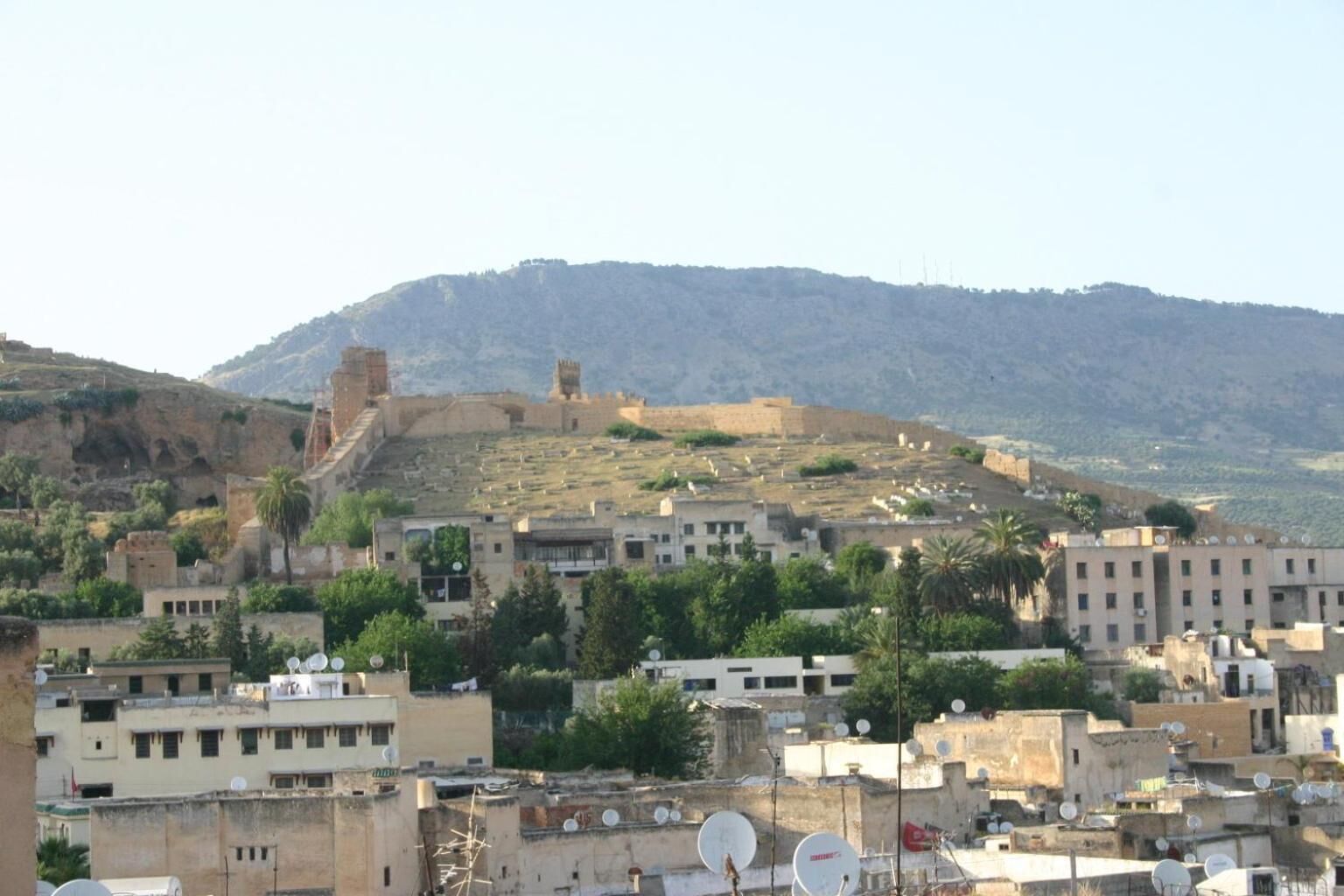 Riad Sanaa Rose