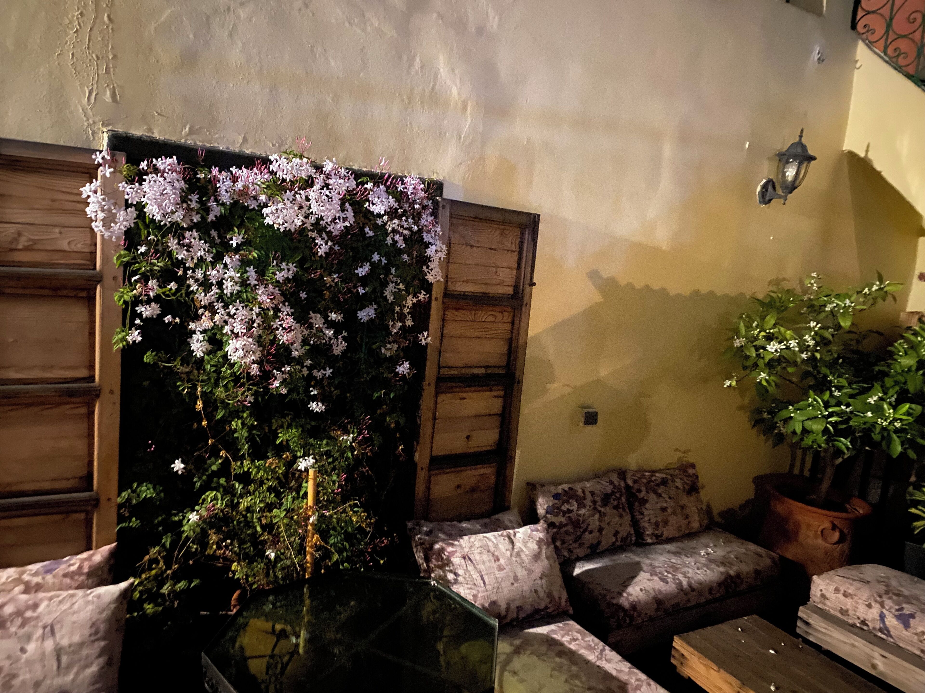 Riad Taj Salma