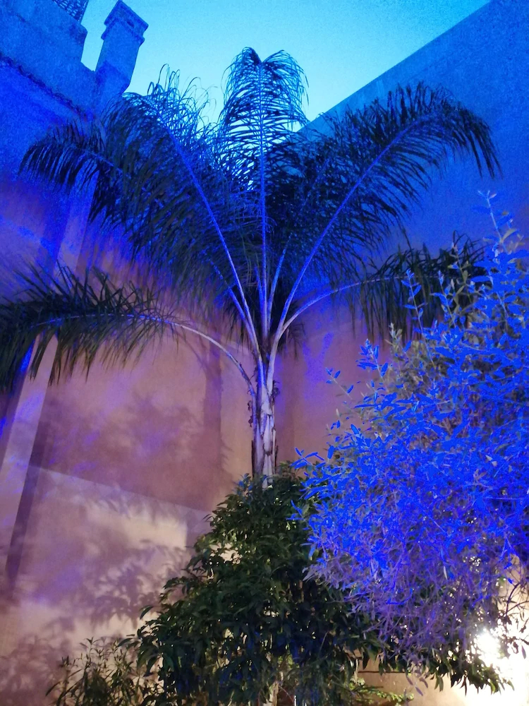 Riad Tara
