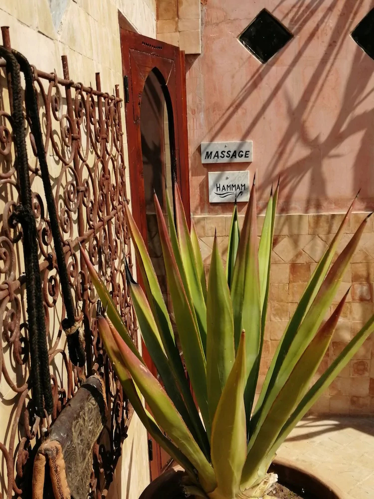 Riad Tara