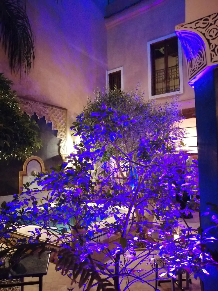 Riad Tara
