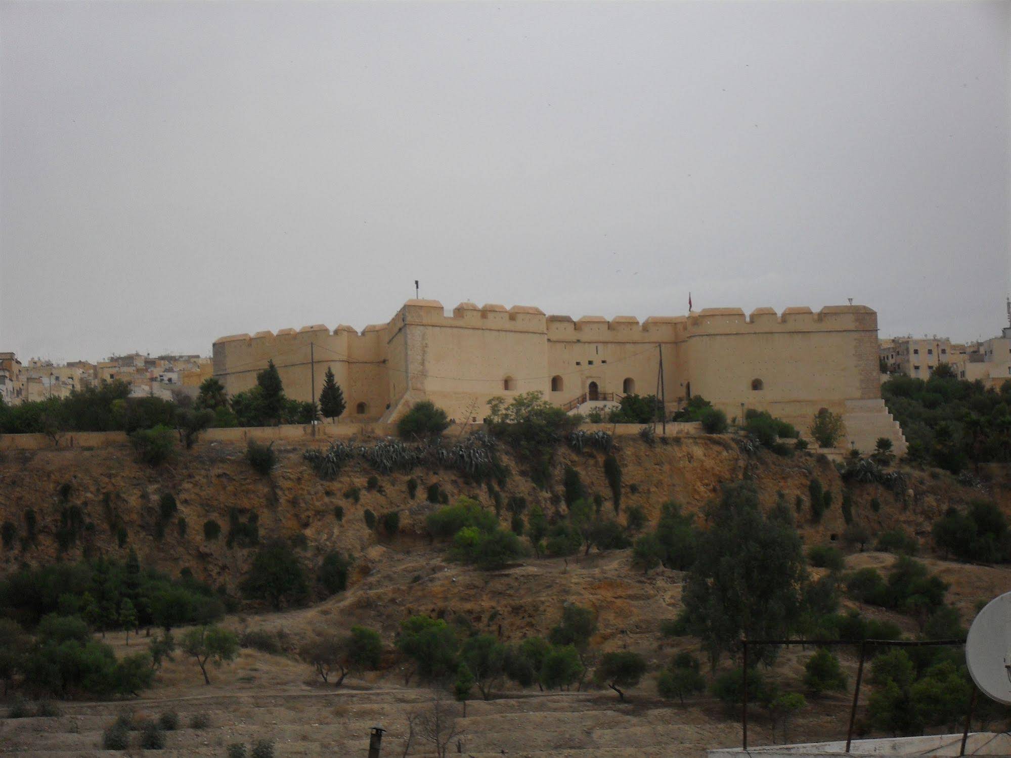 Riad Tayba