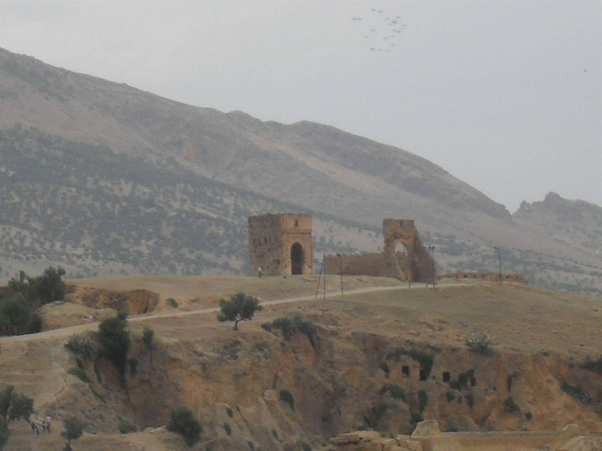 Riad Tayba
