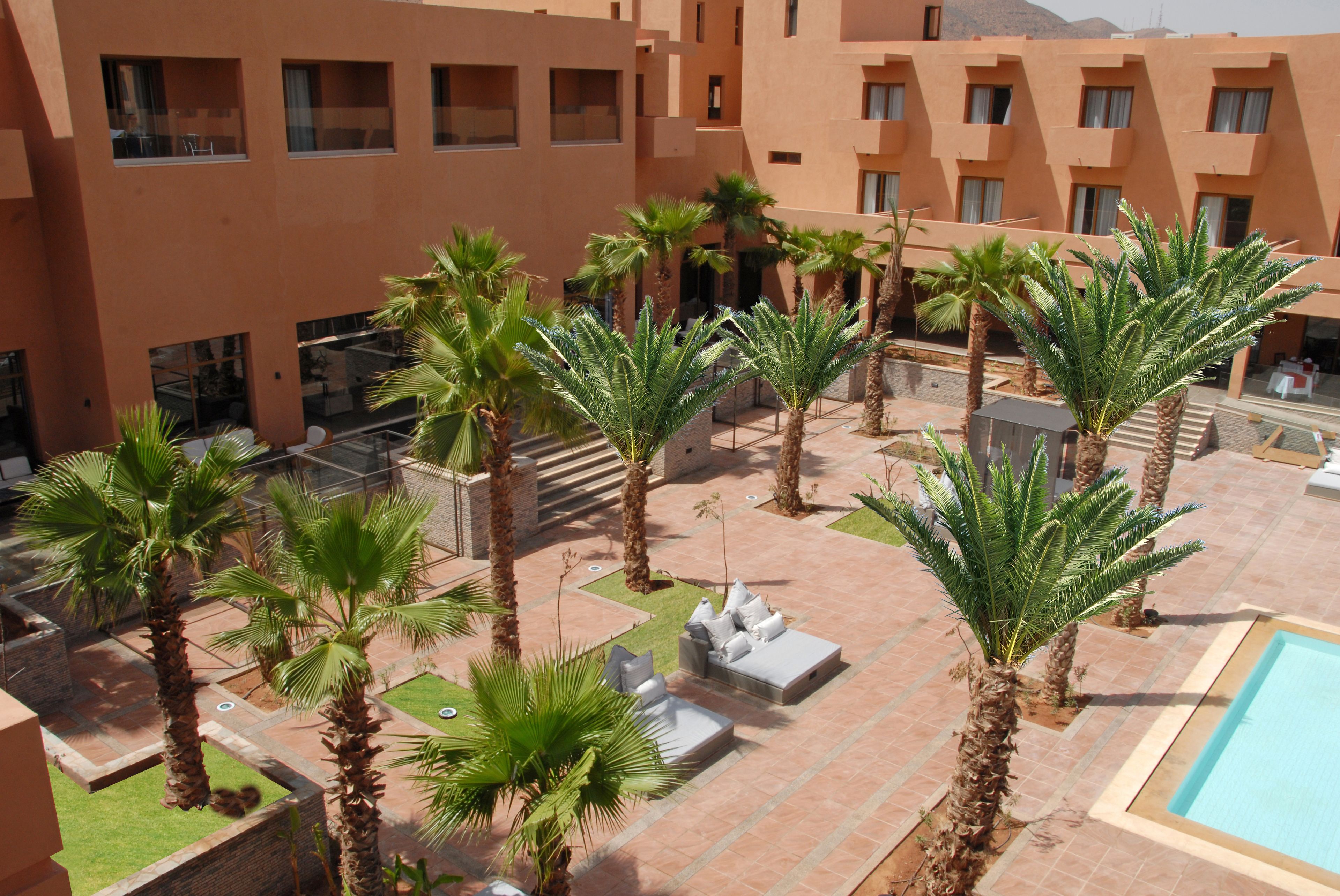 Oasis Palm Hotel