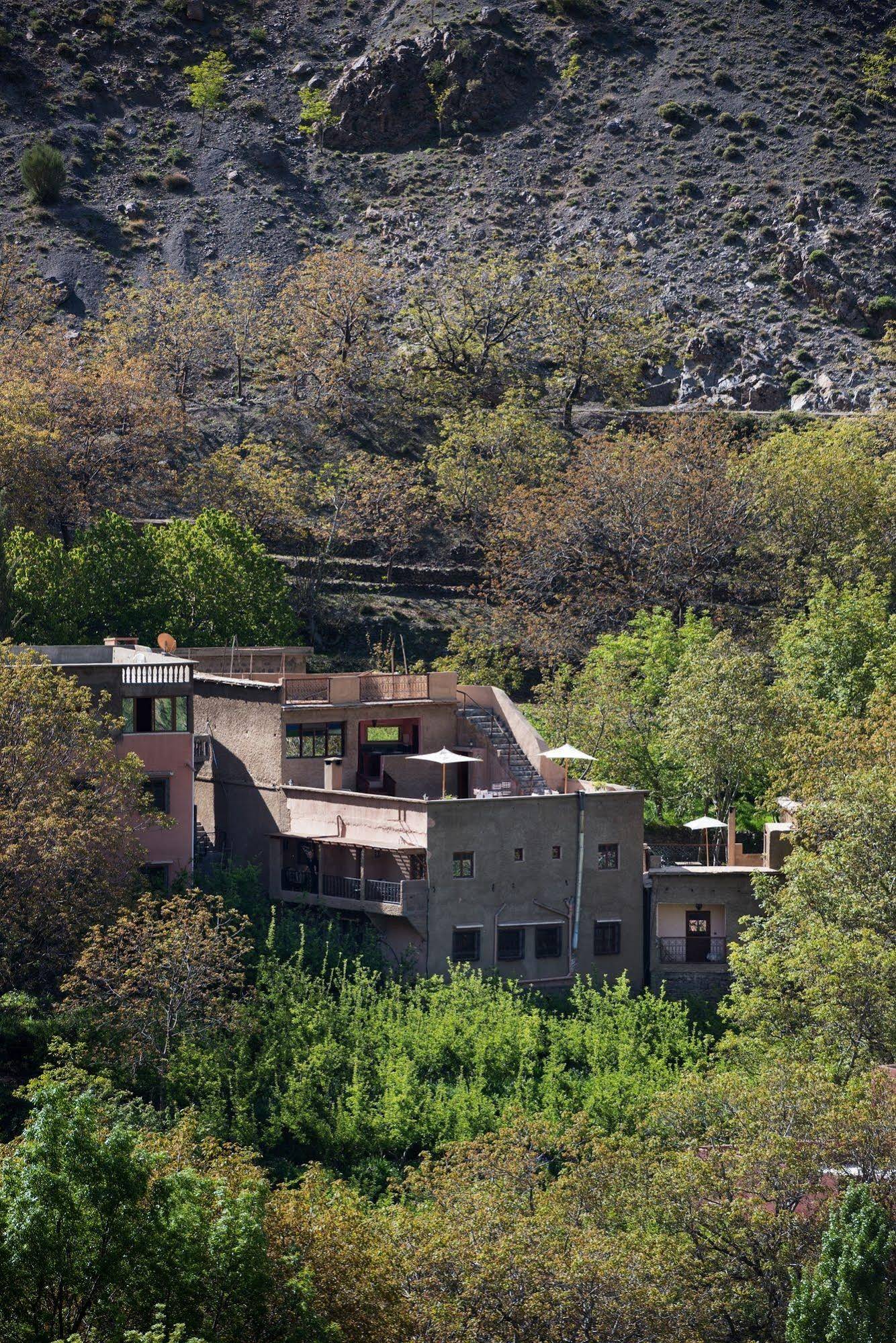 Riad Oussagou