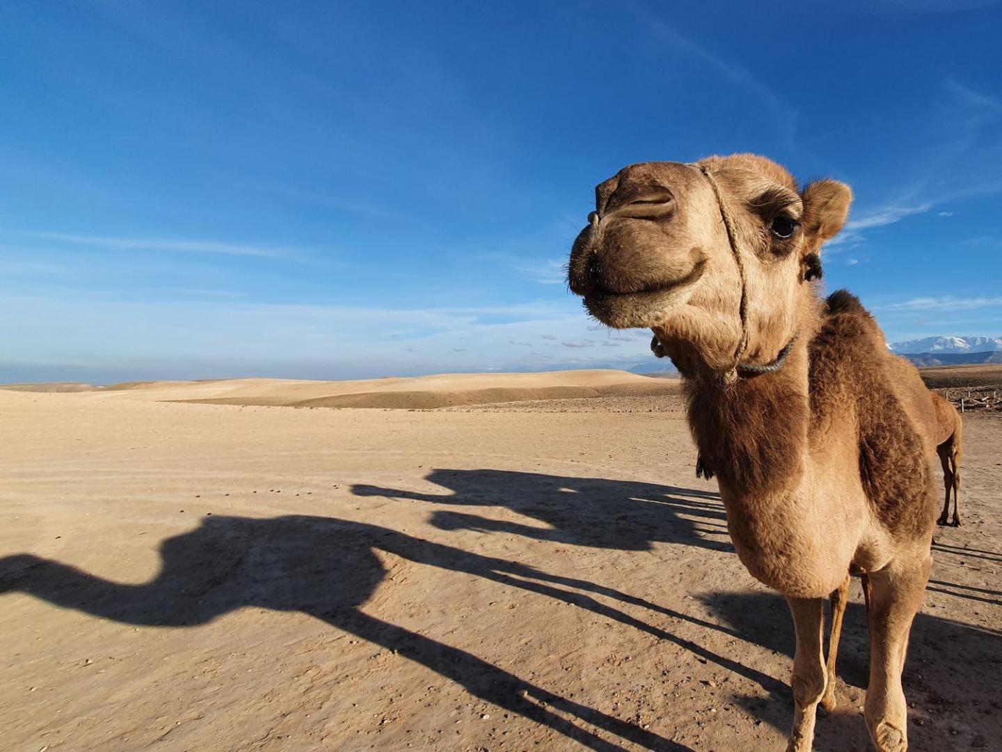 Nkhila Lodge Agafay Desert Private Camp