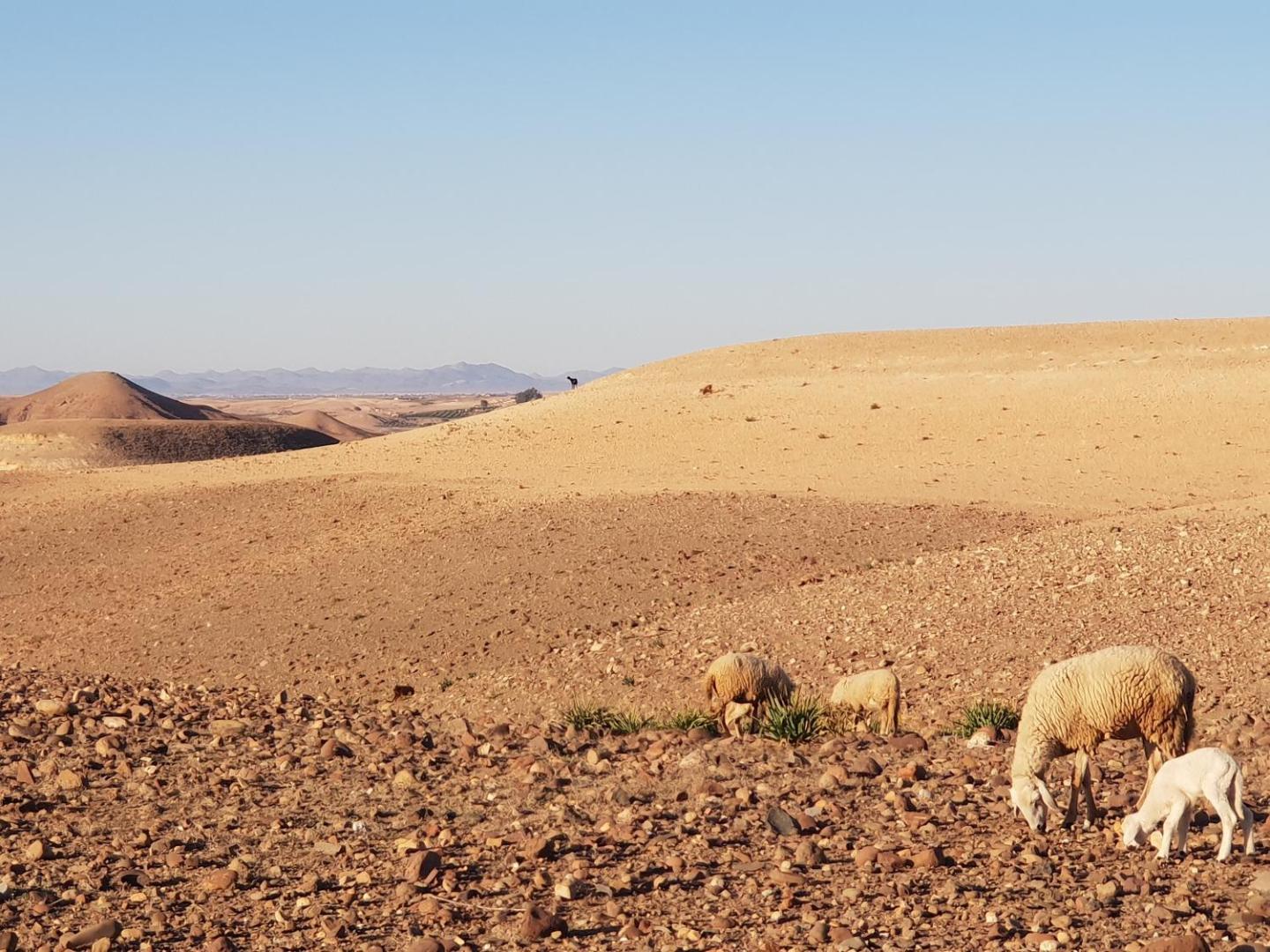 Nkhila Lodge Agafay Desert Private Camp